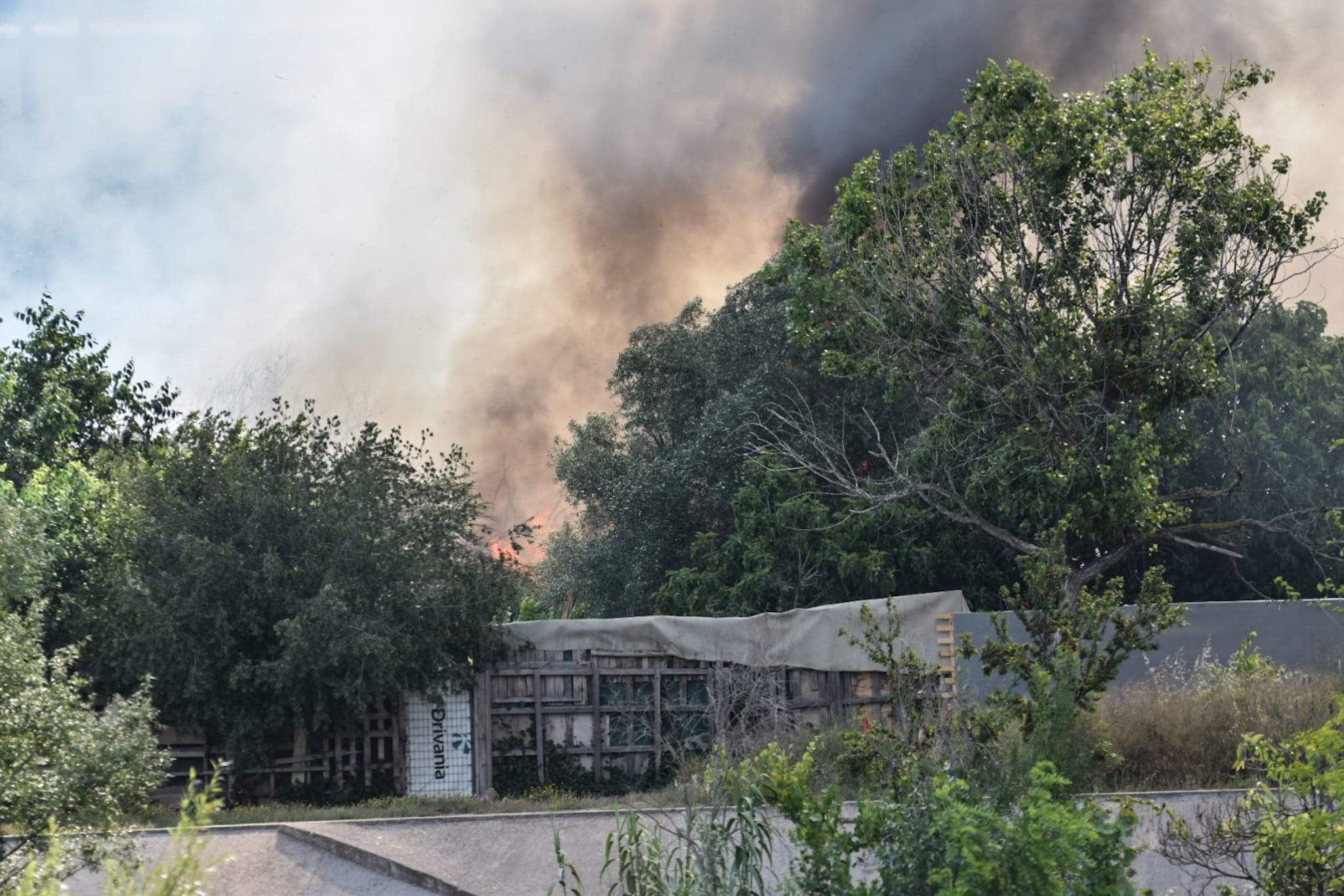 Incendi a una zona de barraques prop de la C-58. FOTO: Marc Mata