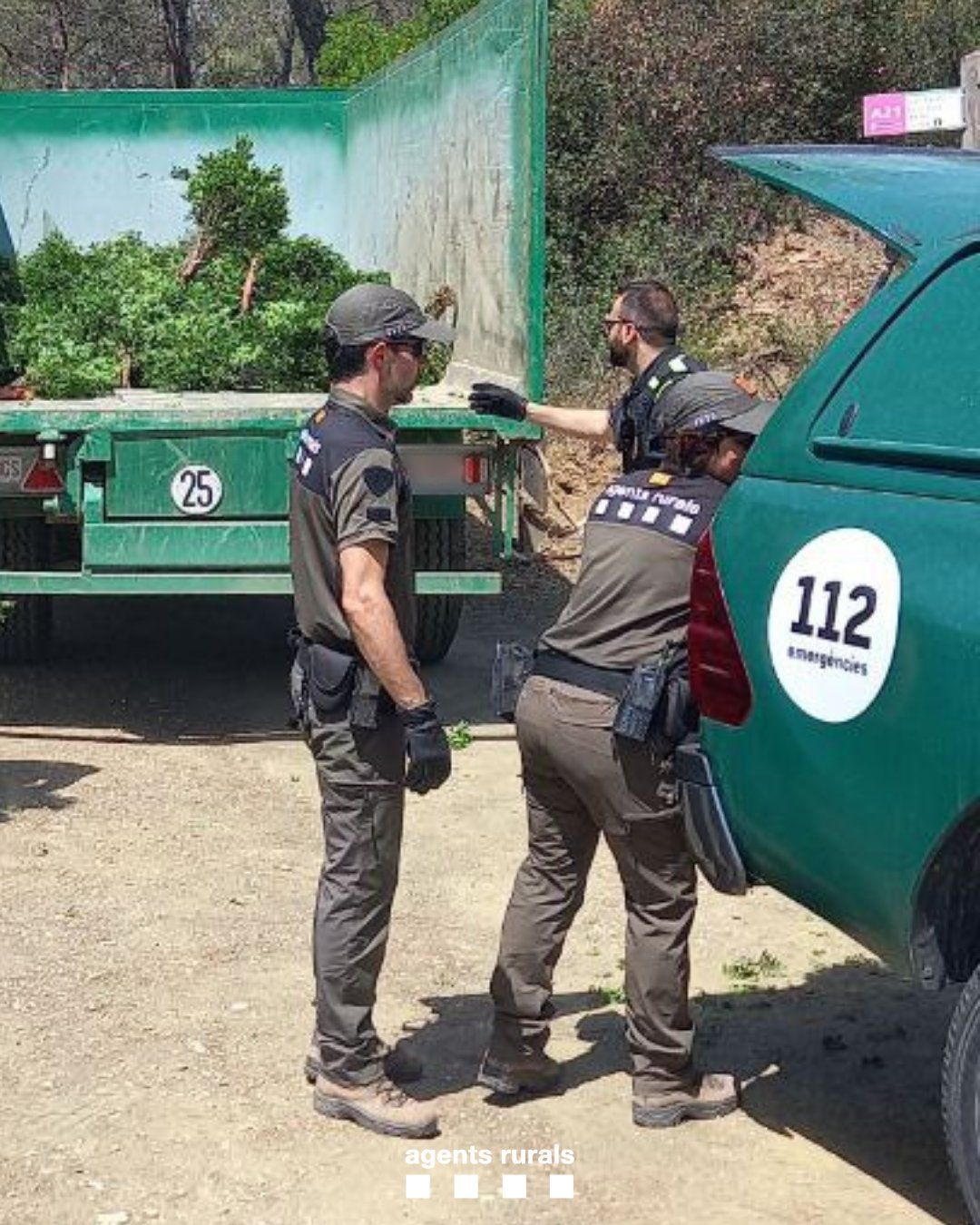 Agents Rurals intervenint. FOTO: Agents Rurals 