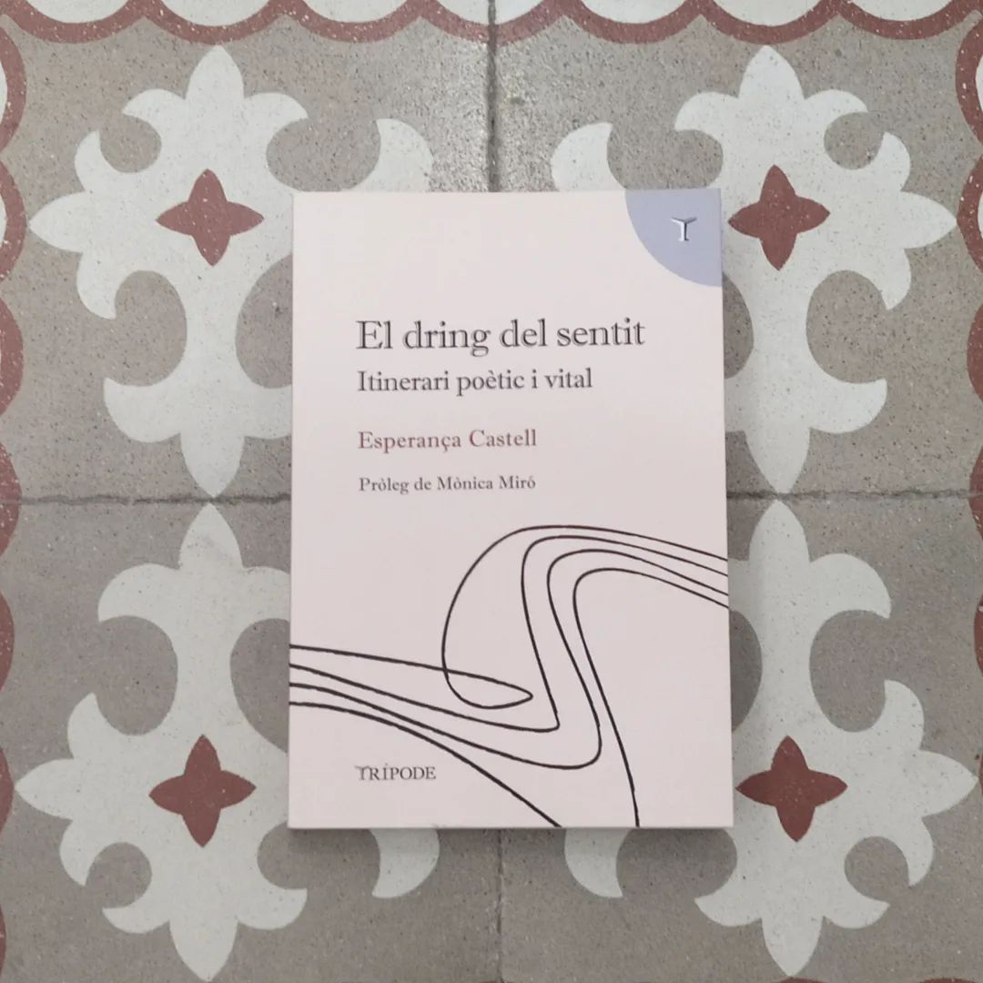 'El dring del sentit' (2023, Esperança Castell) 'El dring del sentit' (2023, Esperança Castell)
