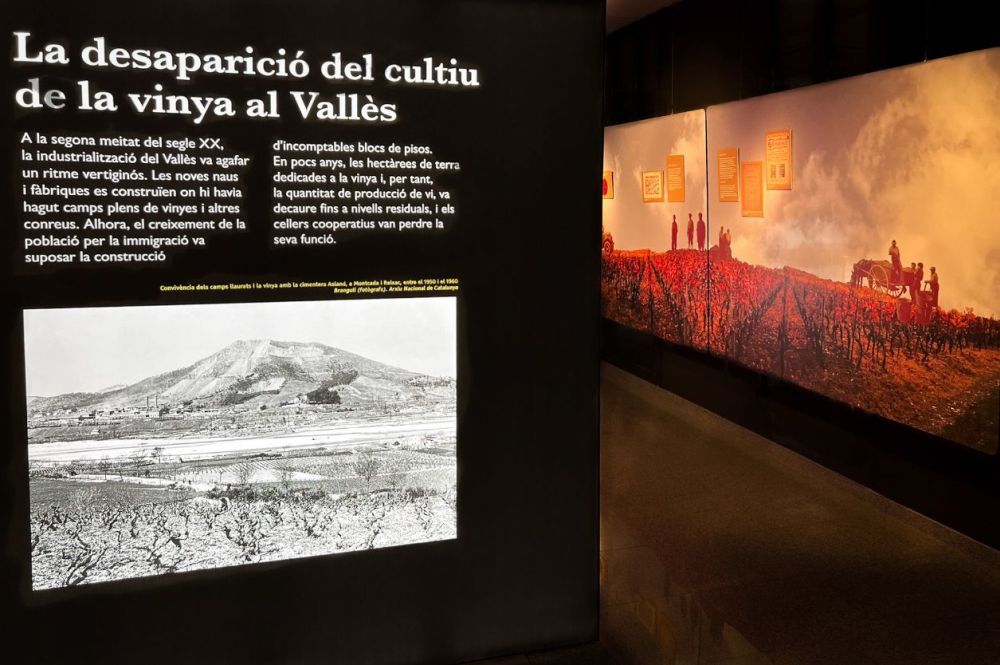 'Al Vallès, som gent de vinya', nova exposició al museu Ca n'Oliver