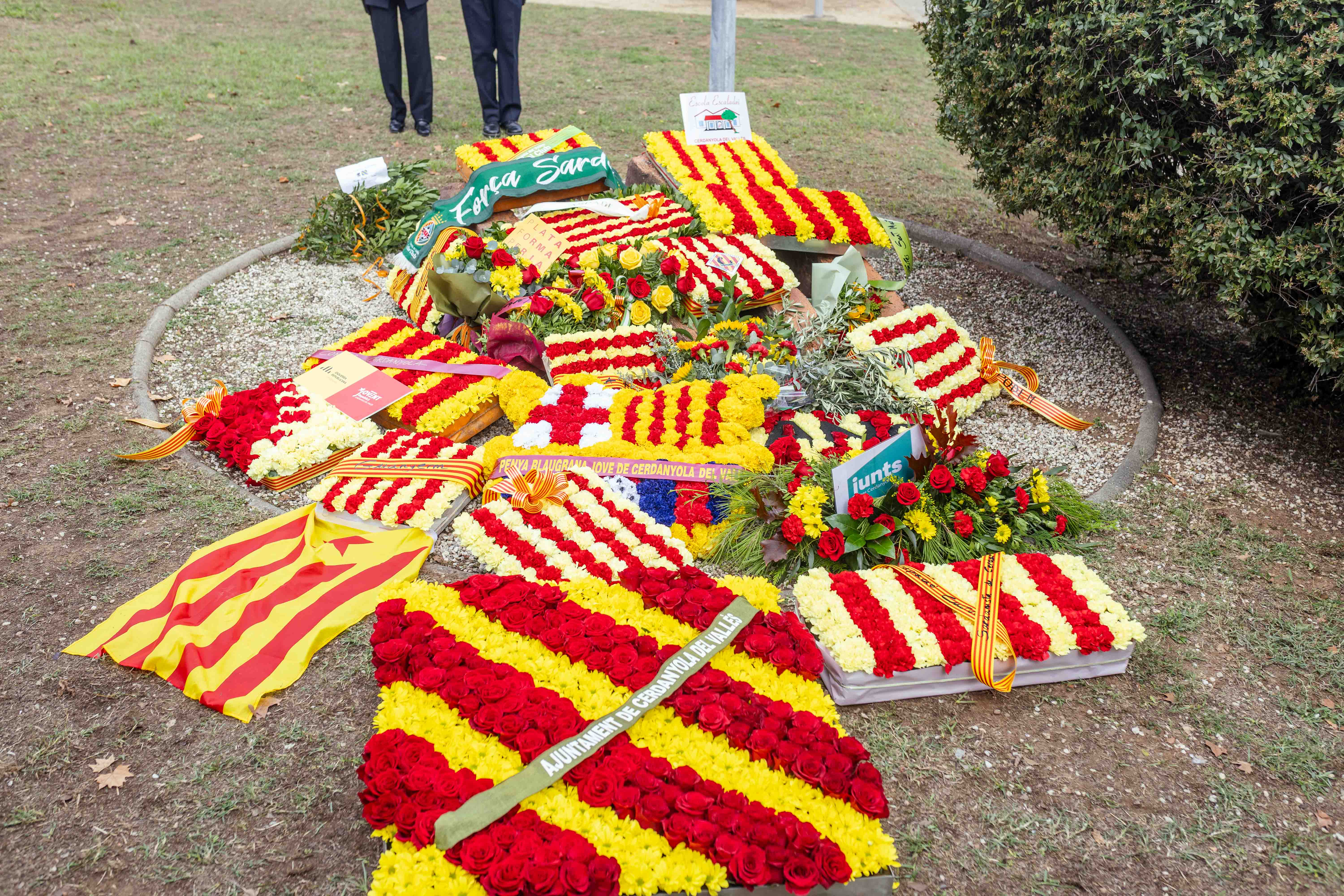 Ofrenes florals de la Diada de 2024. FOTO: Arnau Padilla