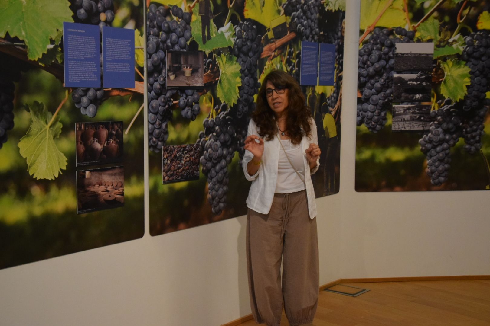Presentació 'Al Vallès som gent de Vinya' al museu de Ca n'Oliver. FOTO: Marc Mata