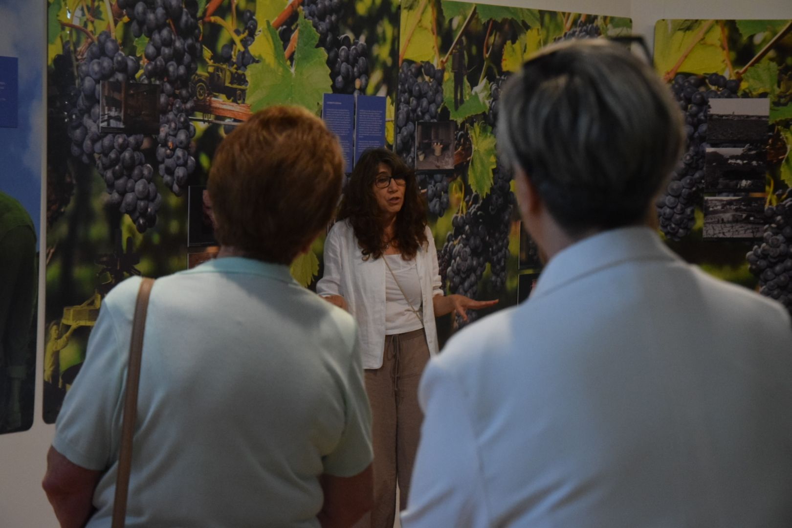 Inauguració exposició 'Al Vallès som gent de Vinya' en imatges. FOTO: Marc Mata