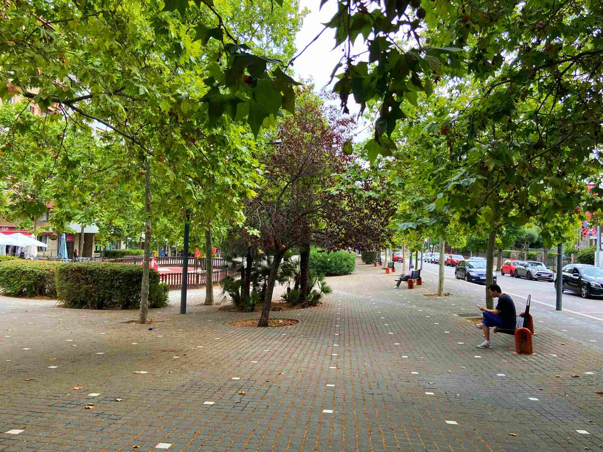 Arbres a Cerdanyola. FOTO: Arxiu