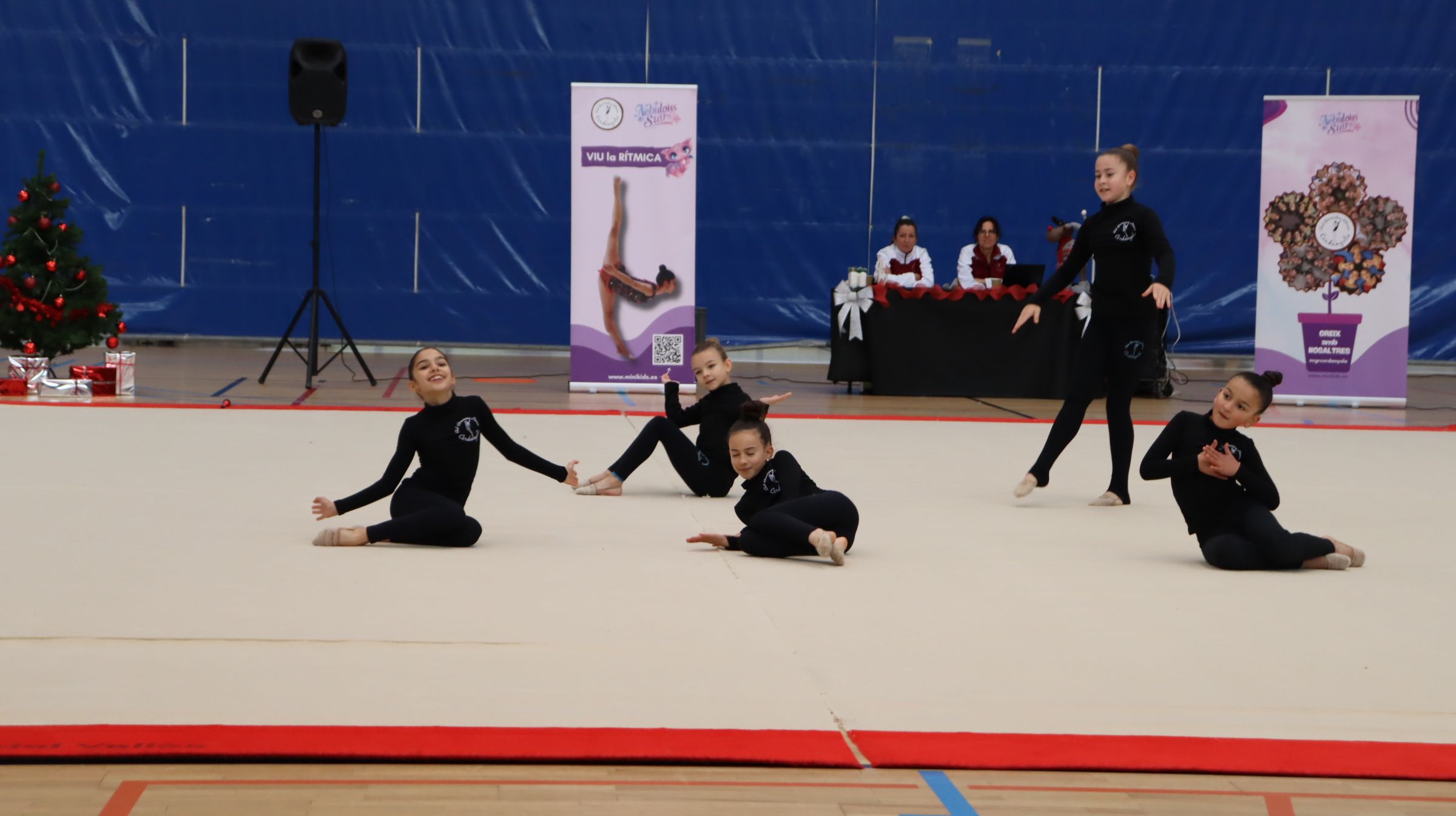 El Club Gimnàstica Ritmica Cerdanyola celebra el seu festival de Nadal. FOTO: Marc Mata