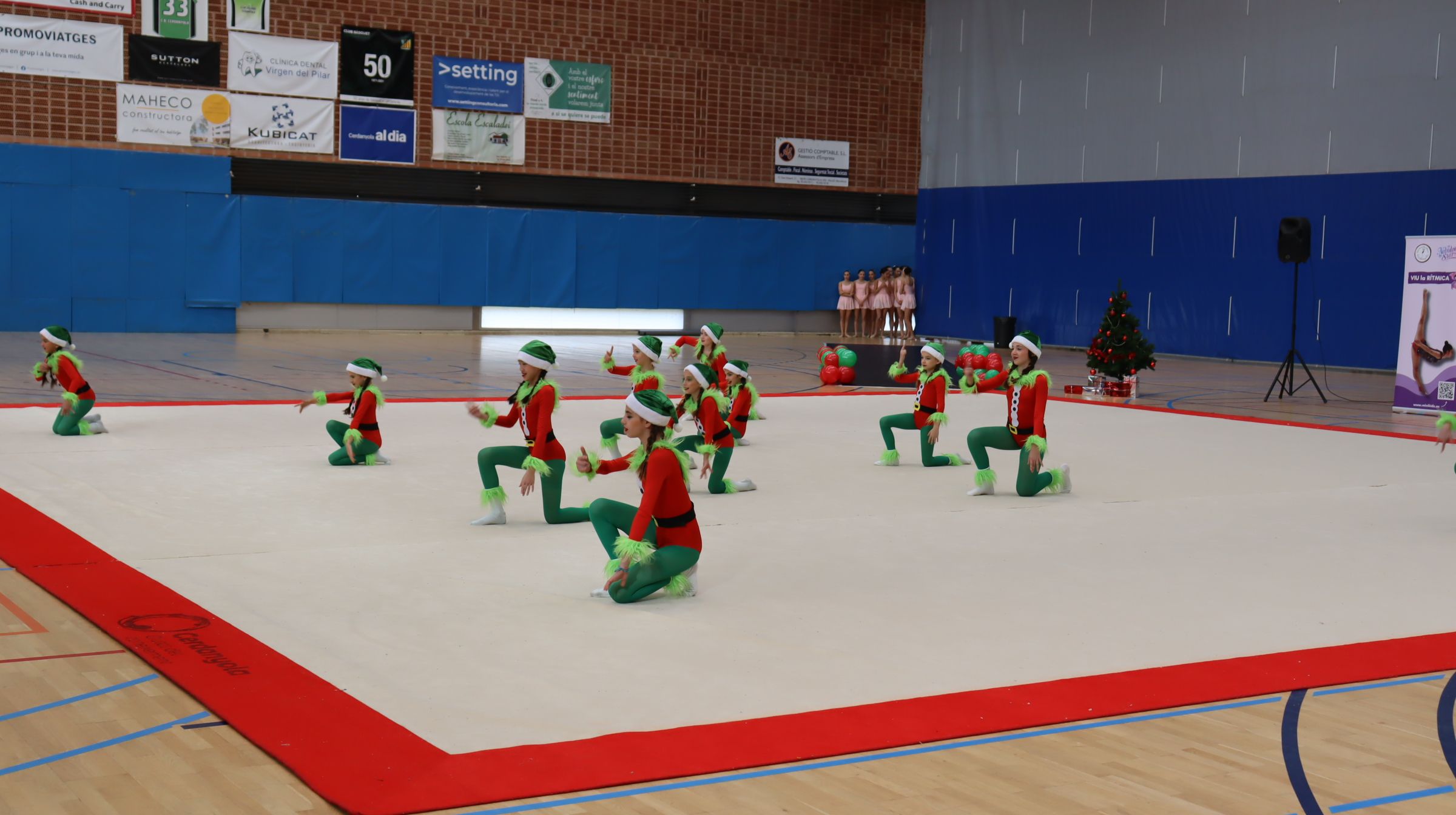 El Club de Gimnàstica Ritmica Cerdanyola celebra un festival de Nadal molt treballat. FOTO: Marc Mata