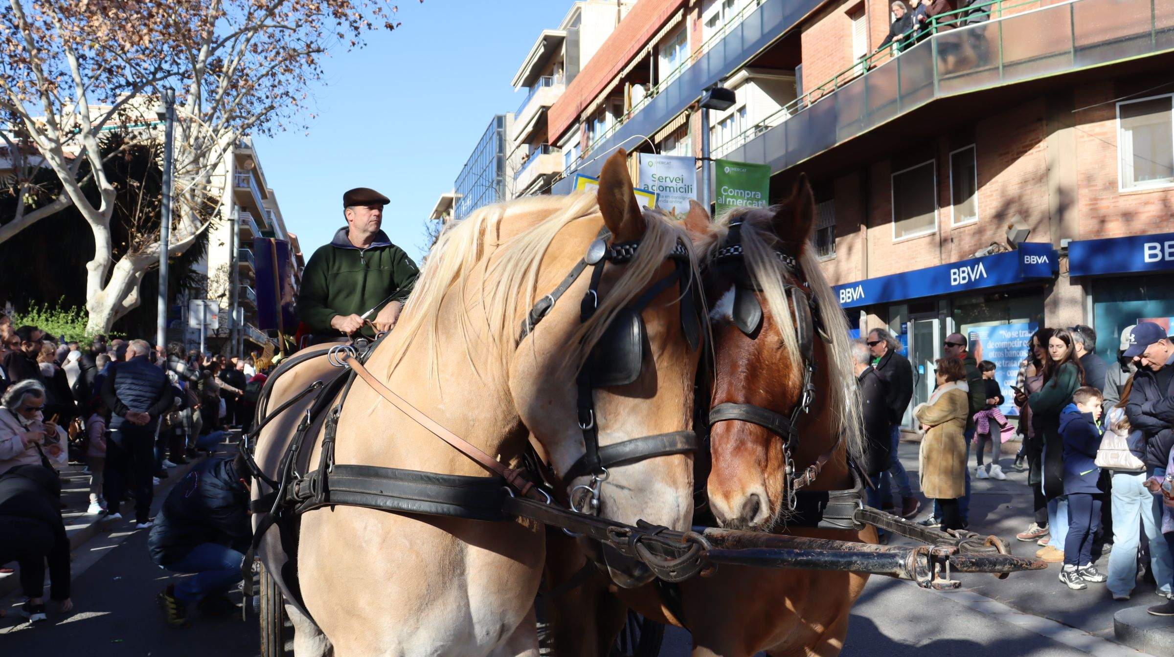 Carruatges a la passada dels Tres Tombs 2025. FOTO: Marc Mata