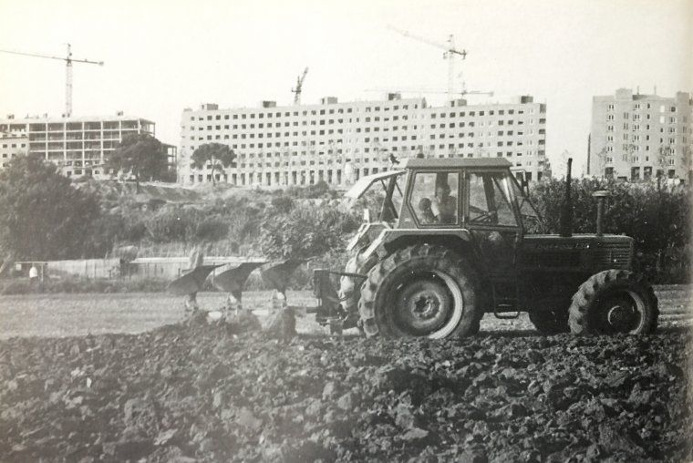 Imatge dels últims camps a Canaletes i la construcció dels blocs d'habitatges al fons, anys 90. FOTO: Arxiu del TOT Imatge dels últims camps a Canaletes i la construcció dels blocs d'habitatges al fons, anys 90. FOTO: Arxiu del TOT