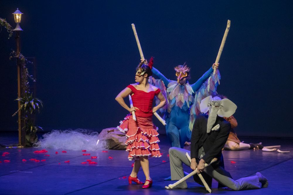 'El Carnaval dels animals' es representarà a l'Ateneu. FOTO: Cedida 'El Carnaval dels animals' es representarà a l'Ateneu. FOTO: Cedida