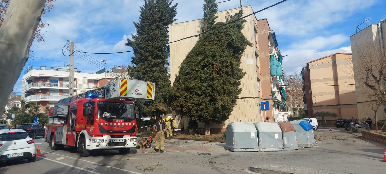 Arbre caigut a l'avinguda Flor de Maig. FOTO: Marc Mata (Arxiu) 