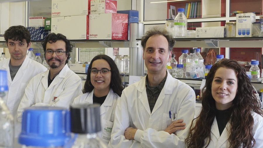 L'equip de recerca de l'INc UAB que ha dut a terme l'estudi. FOTO: UAB