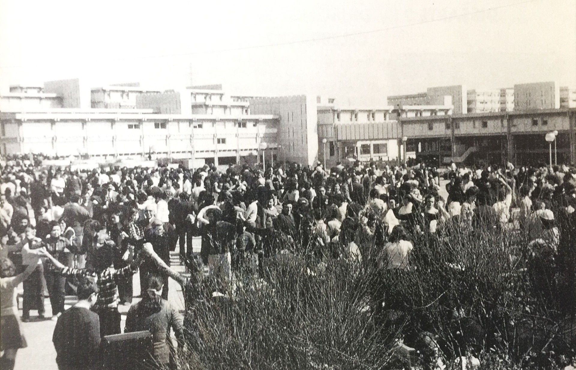 Sardanes a la Universitat Autònoma de Barcelona. FOTO: Cedida