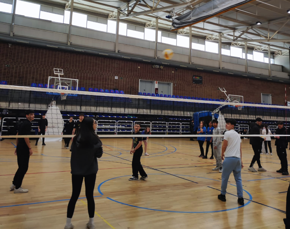 Cerdanyola celebra la I Trobada Intercentres de Voleibol. FOTO: Cedida