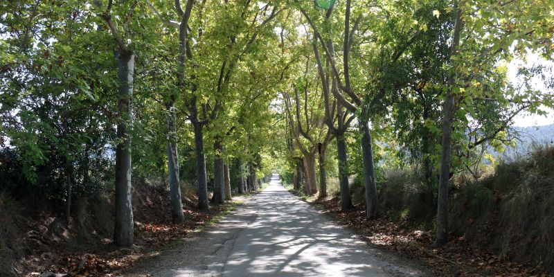 El camí al Castell de Sant Marçal es convertirà en la futura Rambla del Castell. FOTO: ACN El camí al Castell de Sant Marçal es convertirà en la futura Rambla del Castell. FOTO: ACN