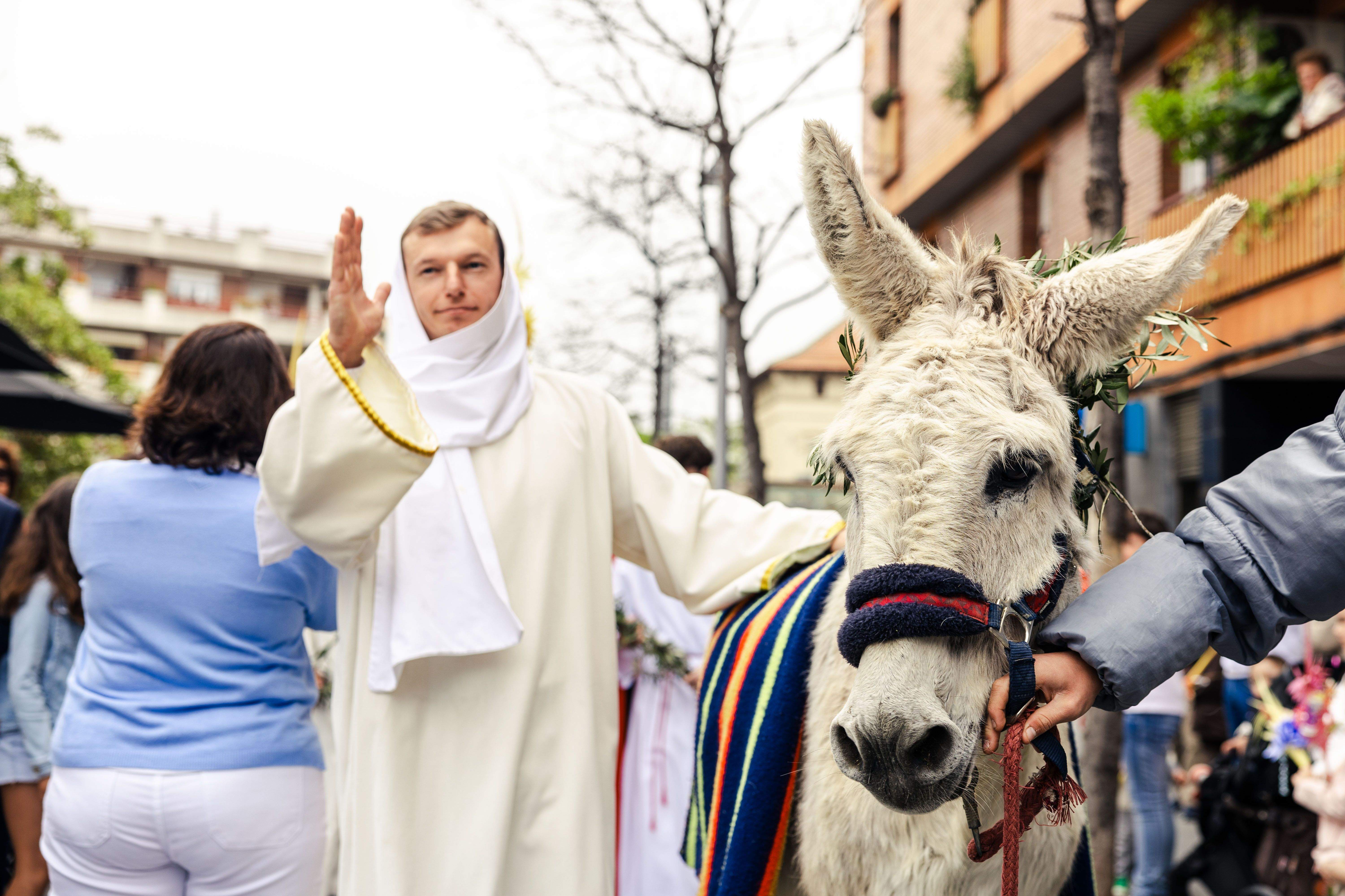 Processó de Diumenge de Rams 2025. FOTO: Arnau Padilla