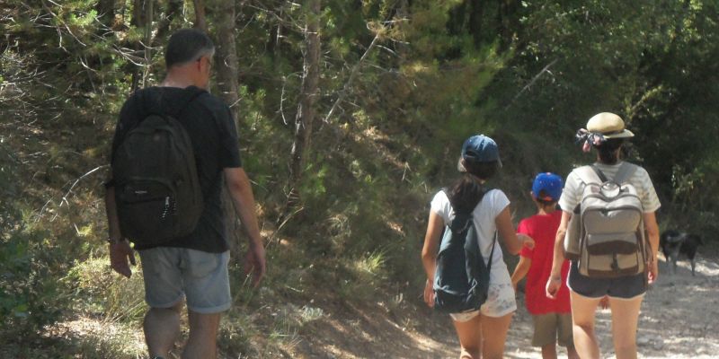 Excursionistes caminant per Collserola