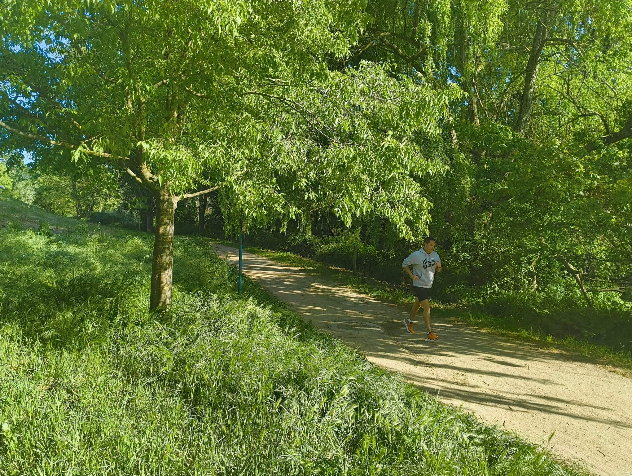 Camí de la Riera de Sant Cugat, a l'entrada de Collserola.