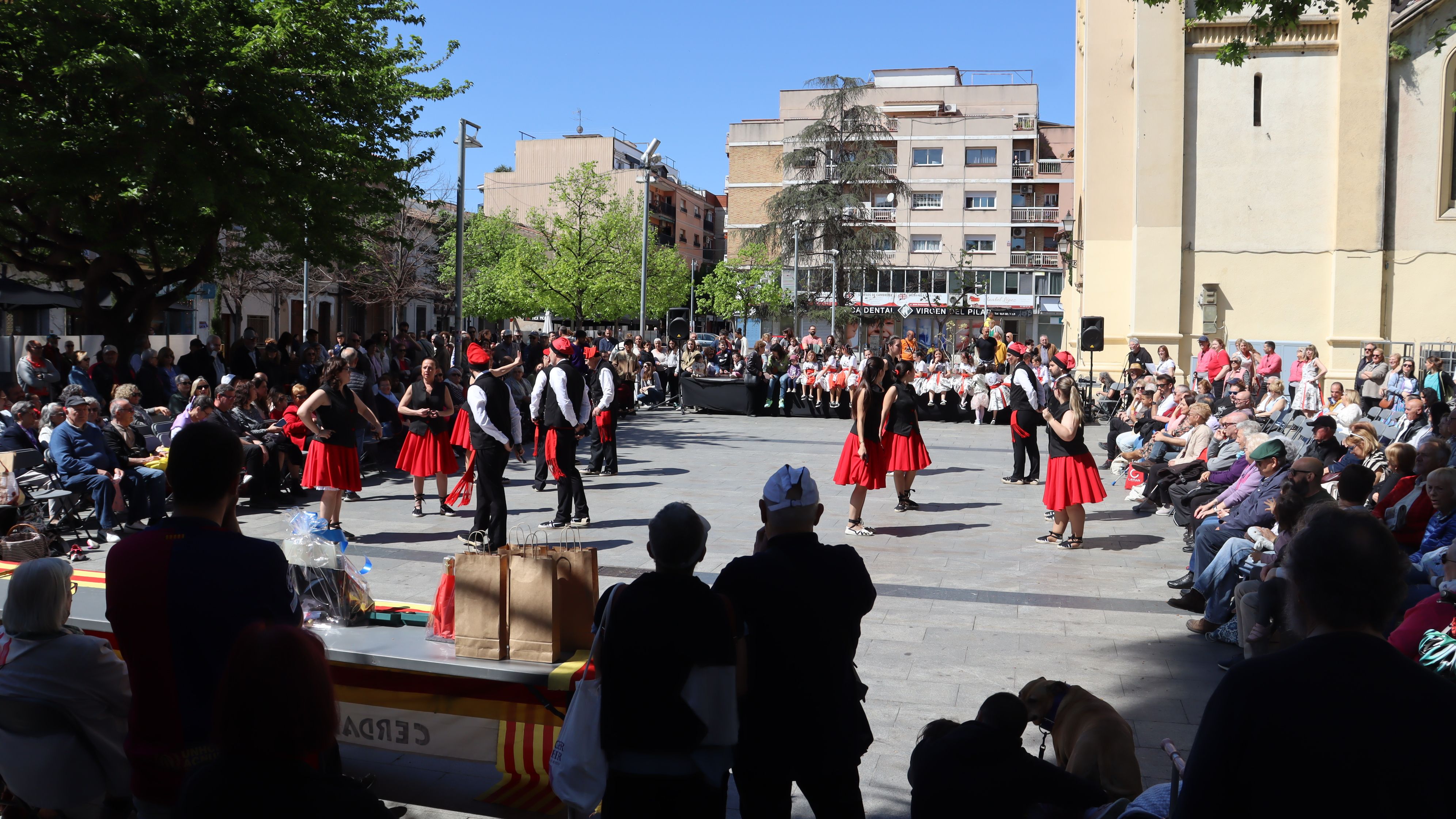 Roda de Gitanes. FOTO Marc Mata  (16)