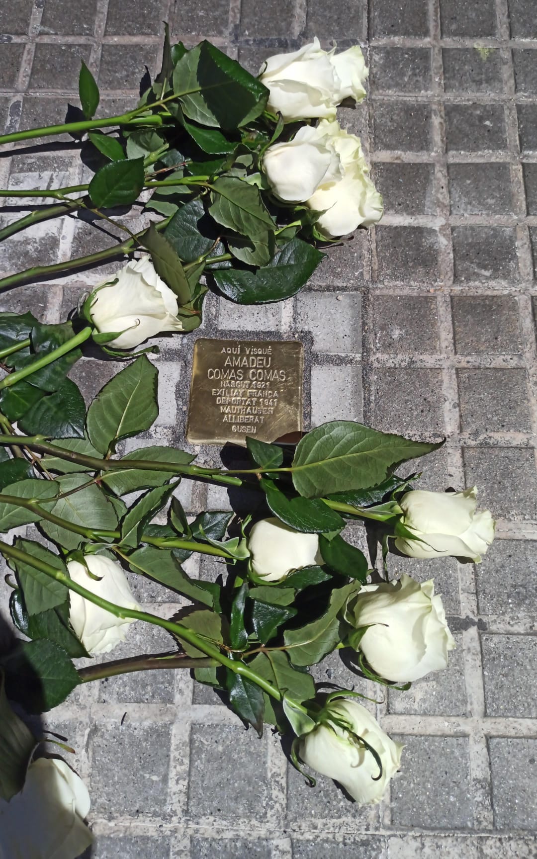 Recordatori a Amadeu Comas, deportat a Mauthausen. Foto Danny Romero