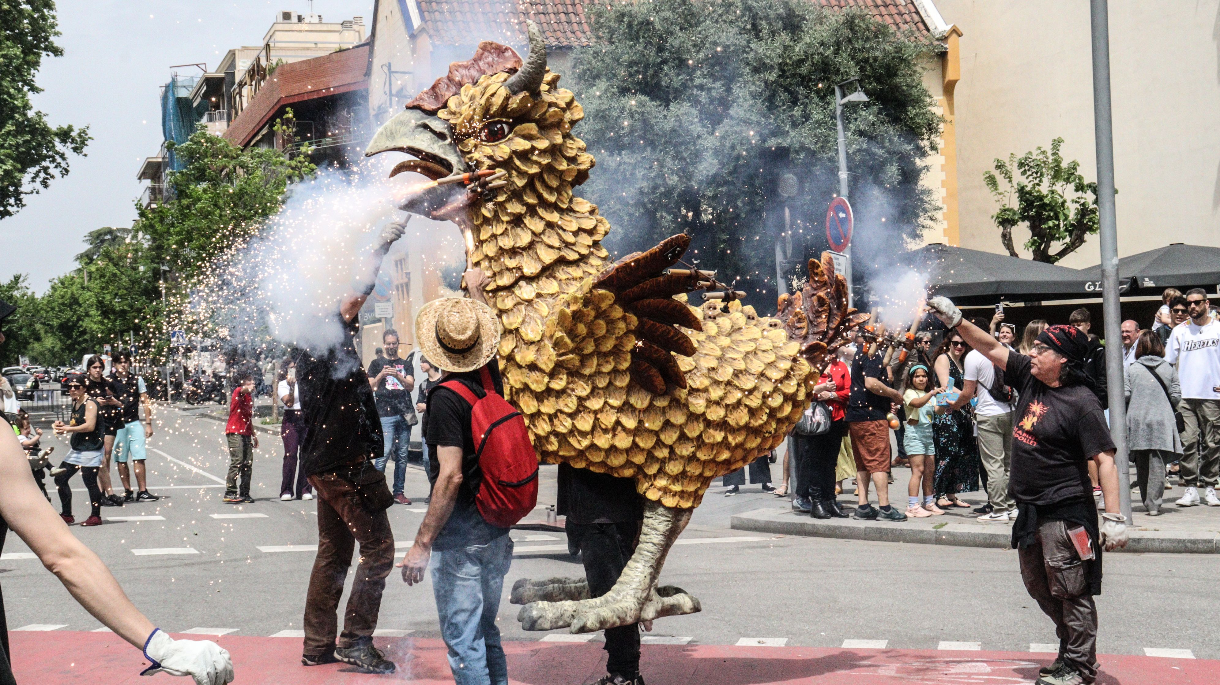 Cercavila de les Bèsties de Foc: Poll Foll, de Ripollet. FOTO: Marc Mata
