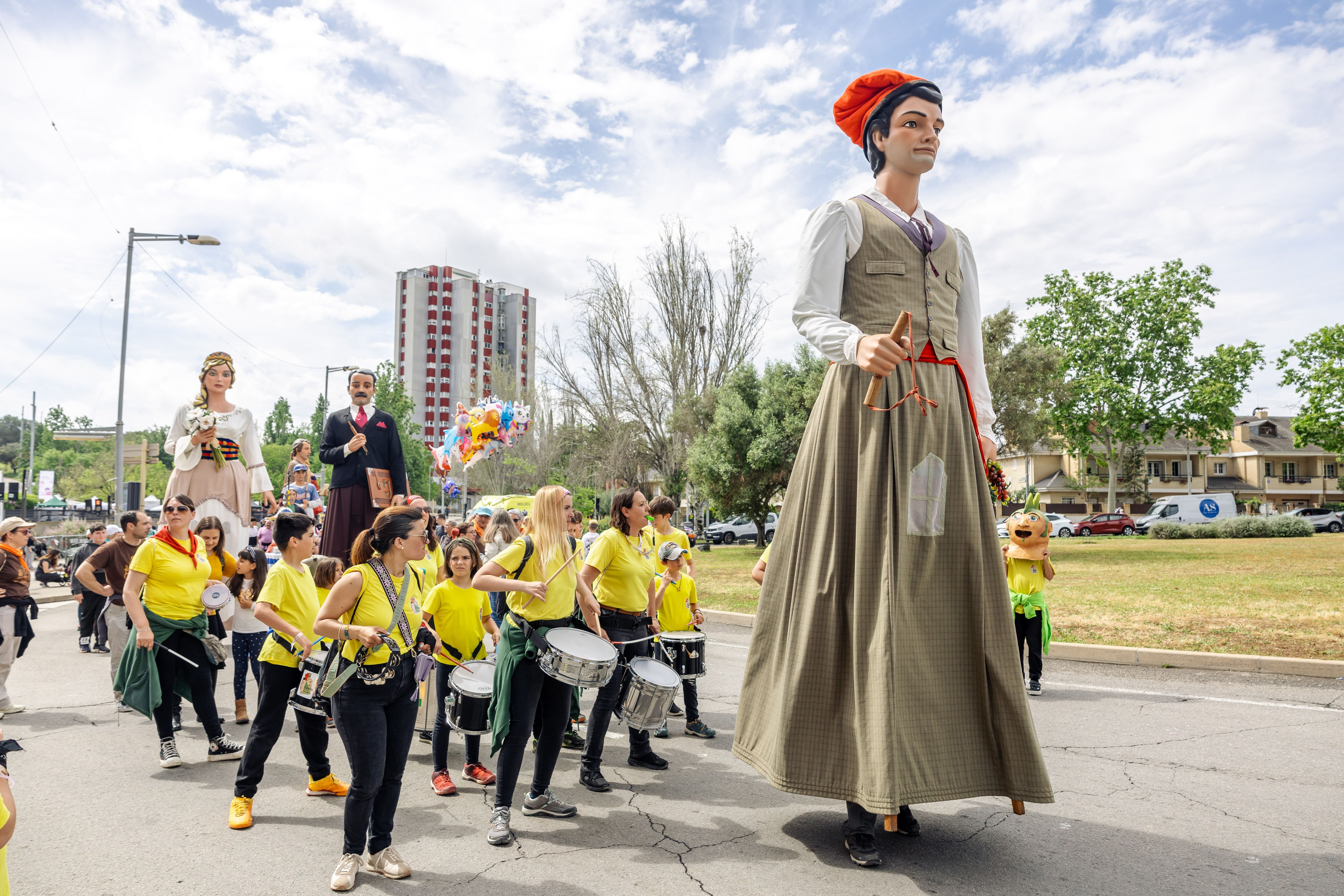 Cercavila de gegants del Roser de Maig 2025, al seu pas per la rotonda de la C. FOTO: Arnau Padilla.