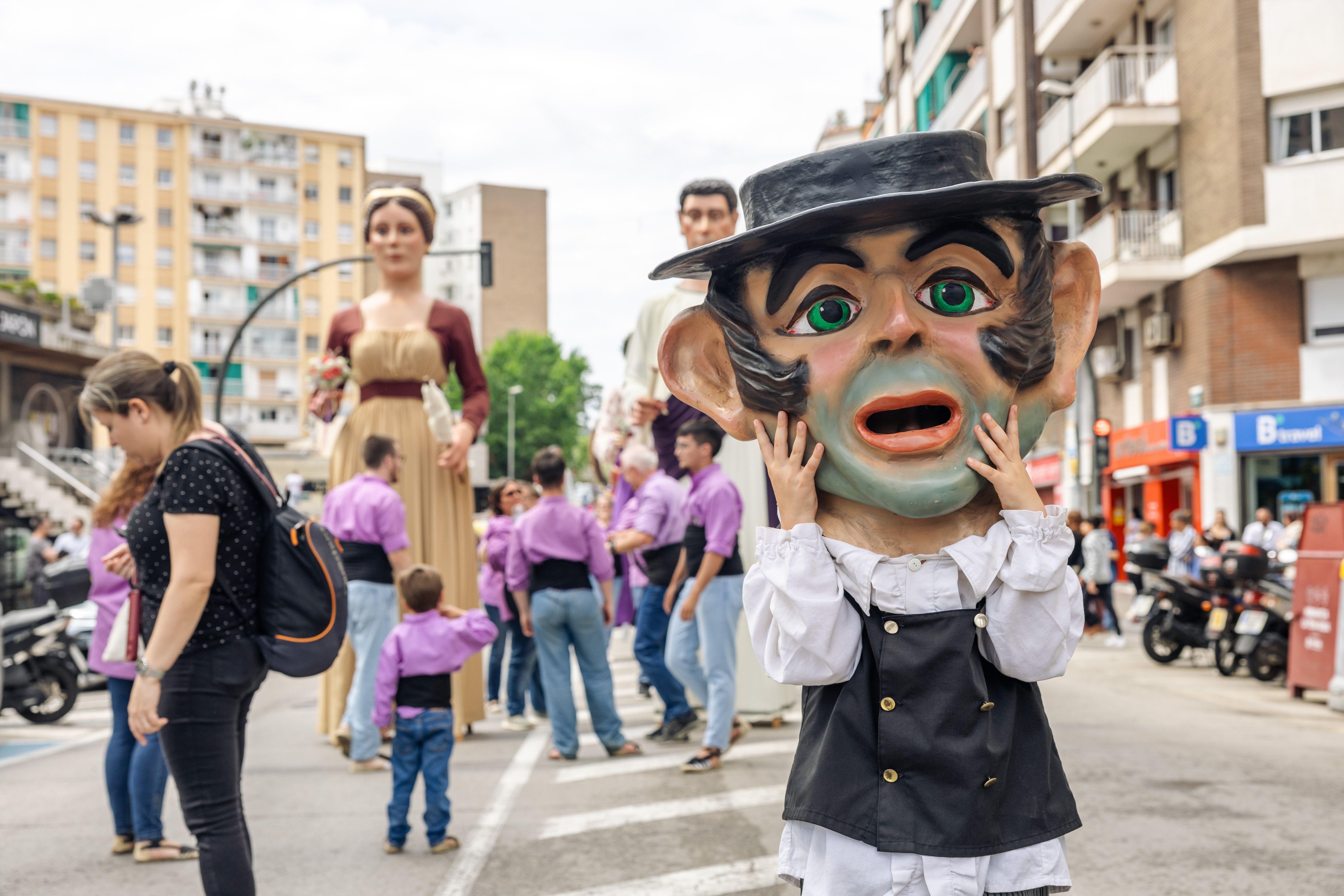 Capgròs, a l'avinguda de Primavera. FOTO: Arnau Padilla.