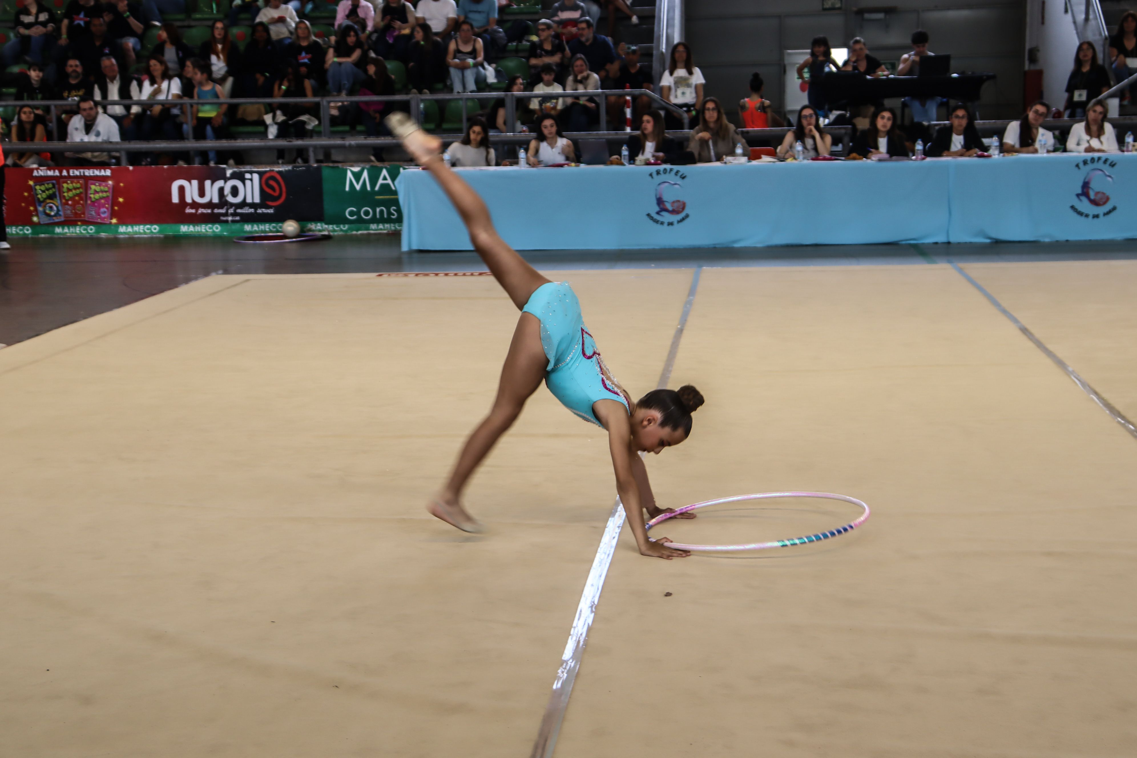 II Trofeu Roser de Maig de gimnàstica rítmica, al pavelló. Foto: Marc Mata. 