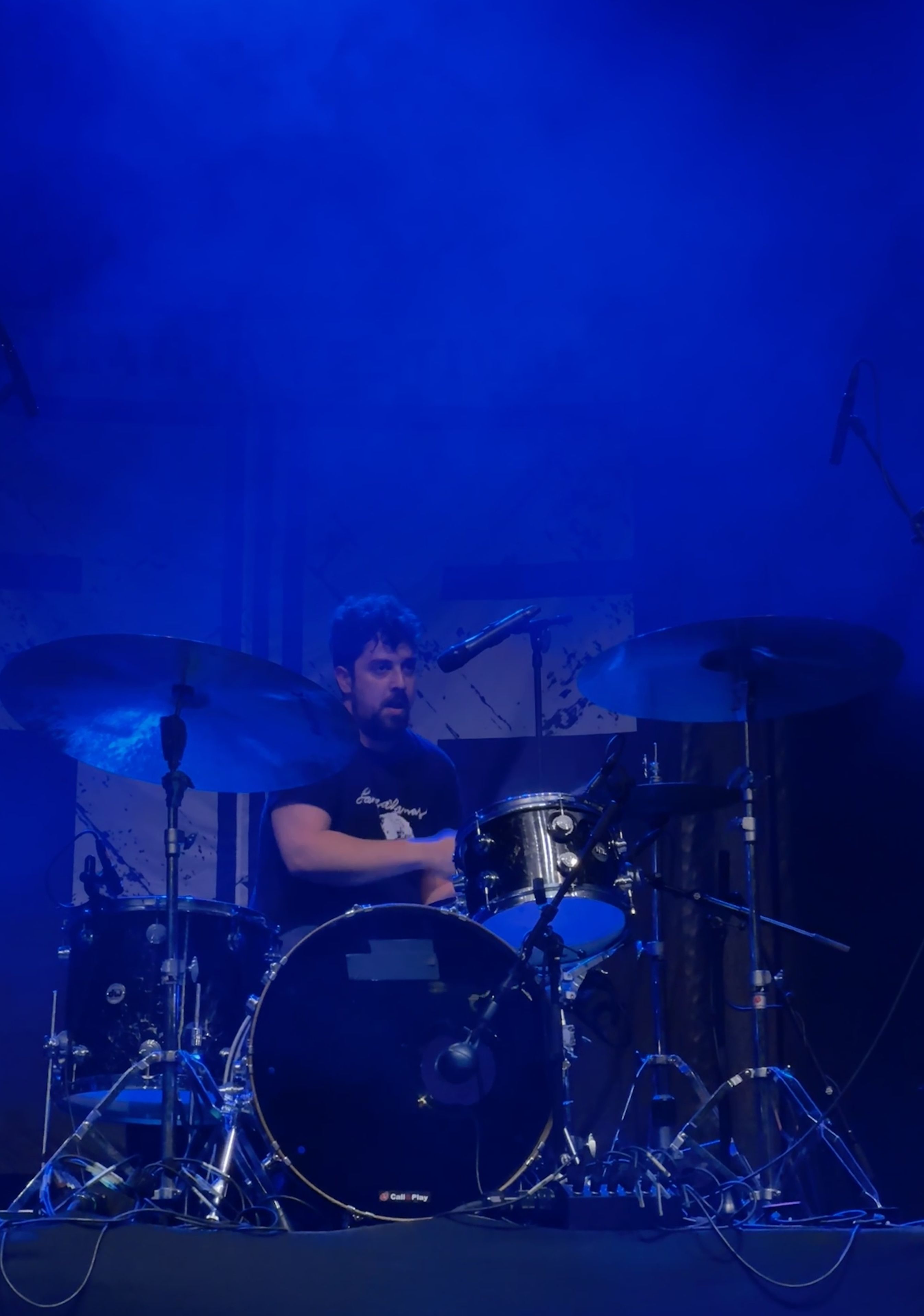 Actuació de Heal, a l'onzena edició de l'Altimira Fest. FOTO: Carme Monclús. 