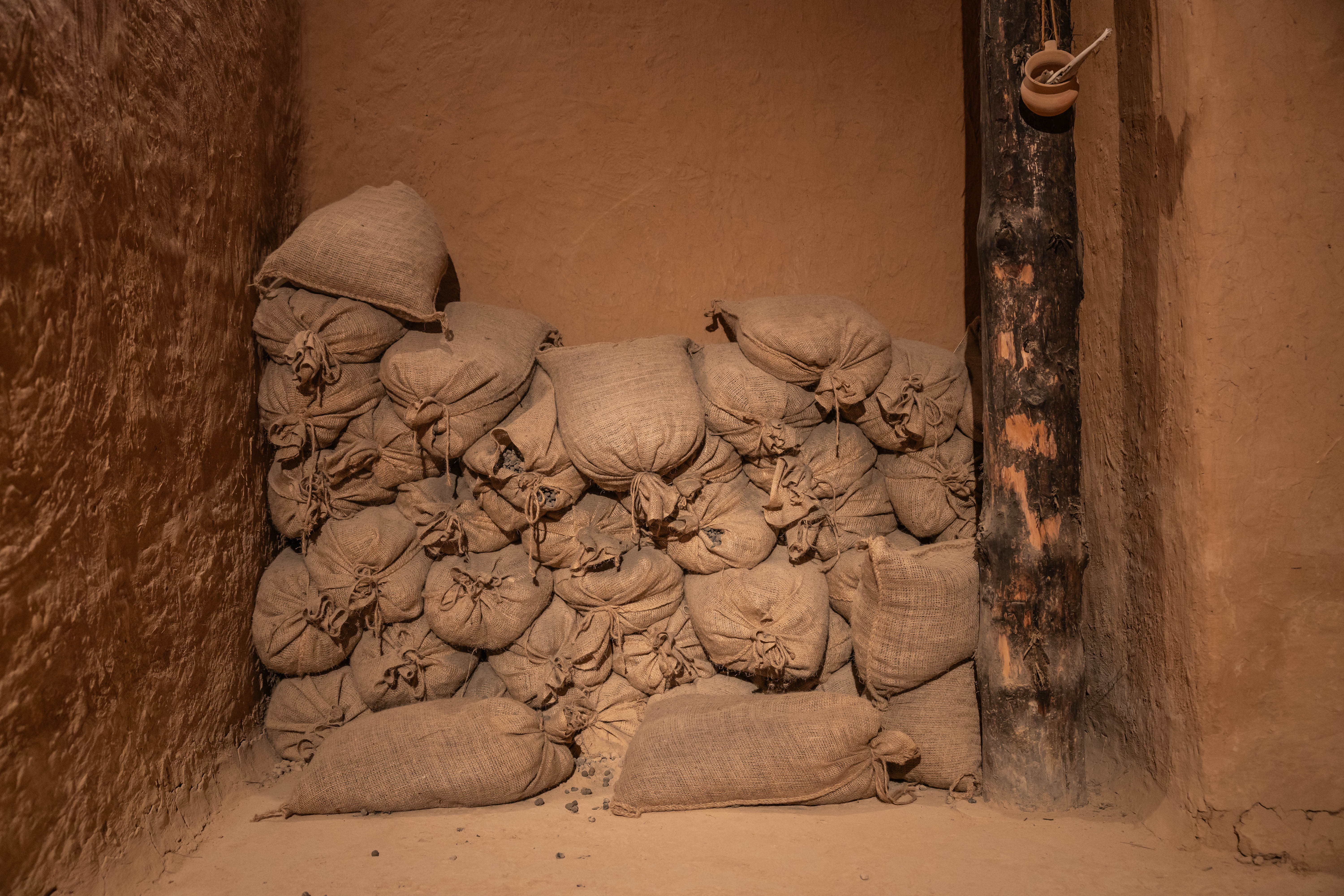 Imatges del poblat ibèric de Ca n’Oliver i els seus edificis reconstruïts enmig de la serra de Collserola. FOTO: Arnau Padilla.