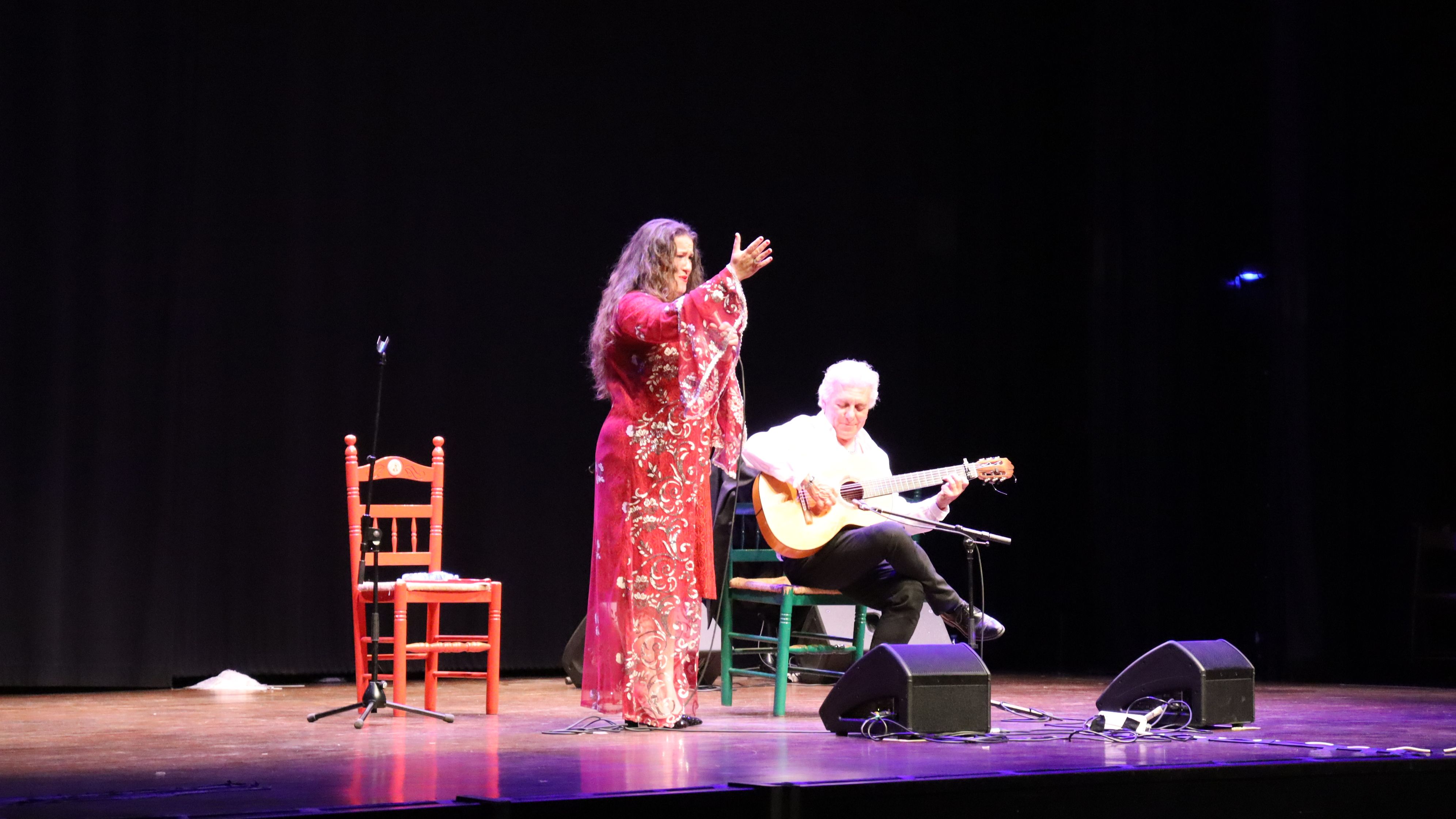 Festival flamenc "Roser de maig", XXXVIII Noche del cante Jondo. FOTO: Marc Mata
