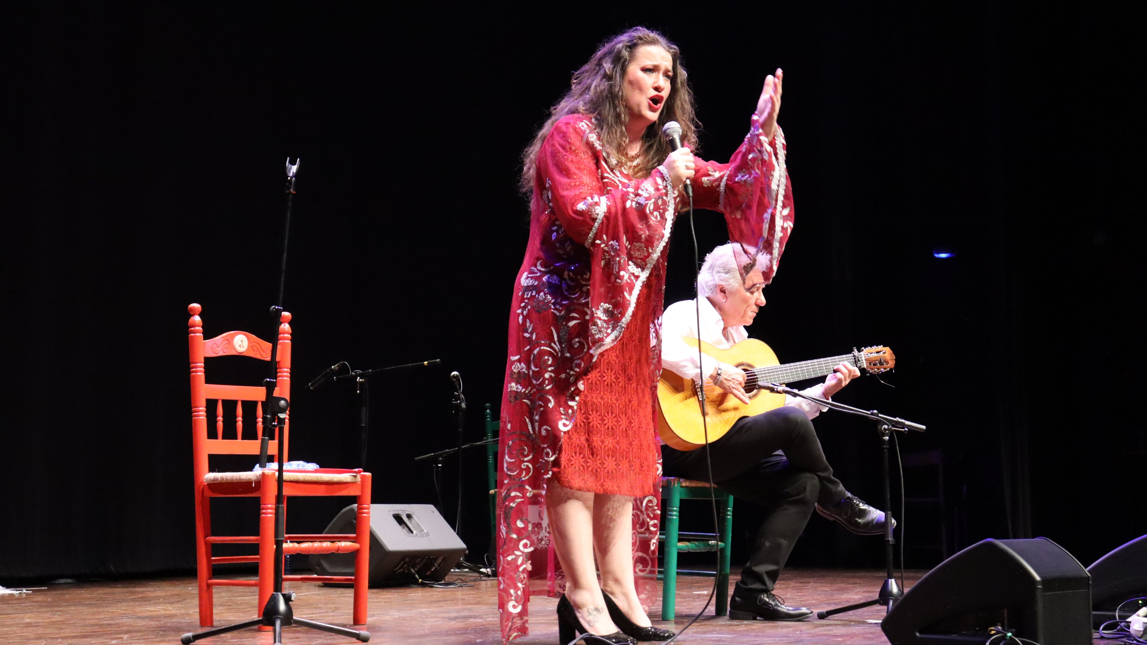 Festival flamenc "Roser de maig", XXXVIII Noche del cante Jondo. FOTO: Marc Mata