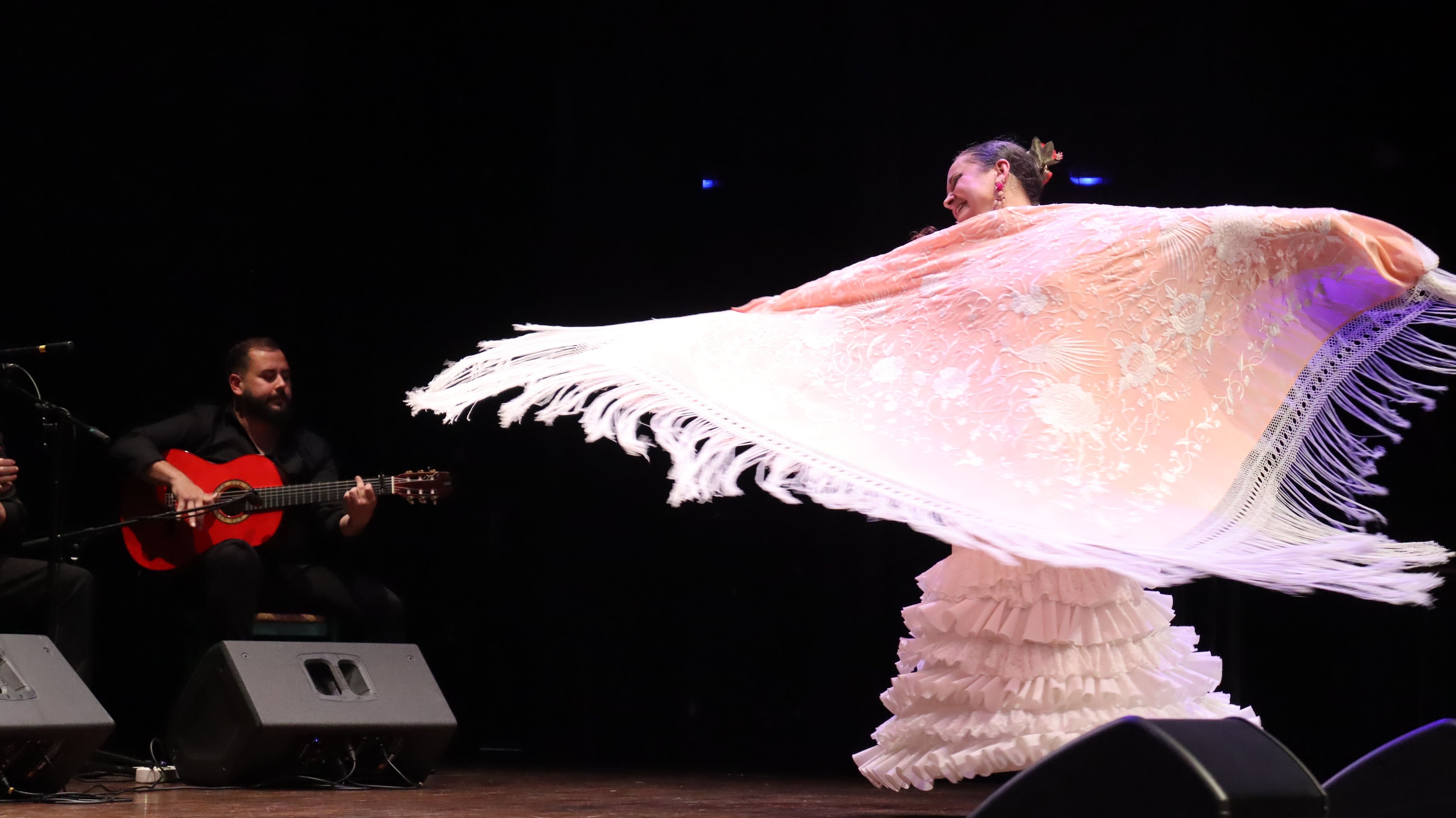 Festival flamenc "Roser de maig", XXXVIII Noche del cante Jondo. FOTO: Marc Mata