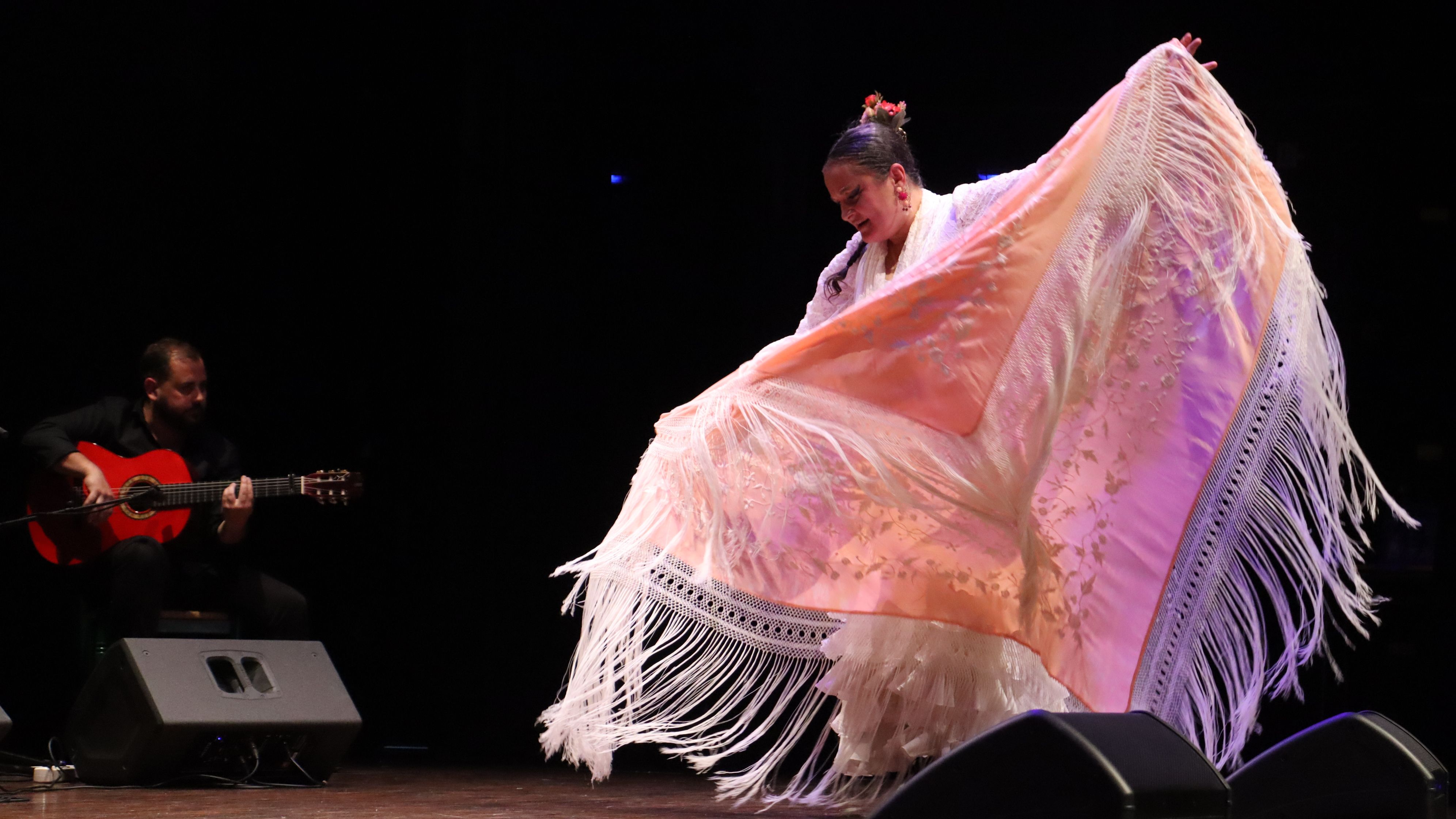 Festival flamenc "Roser de maig", XXXVIII Noche del cante Jondo. FOTO: Marc Mata