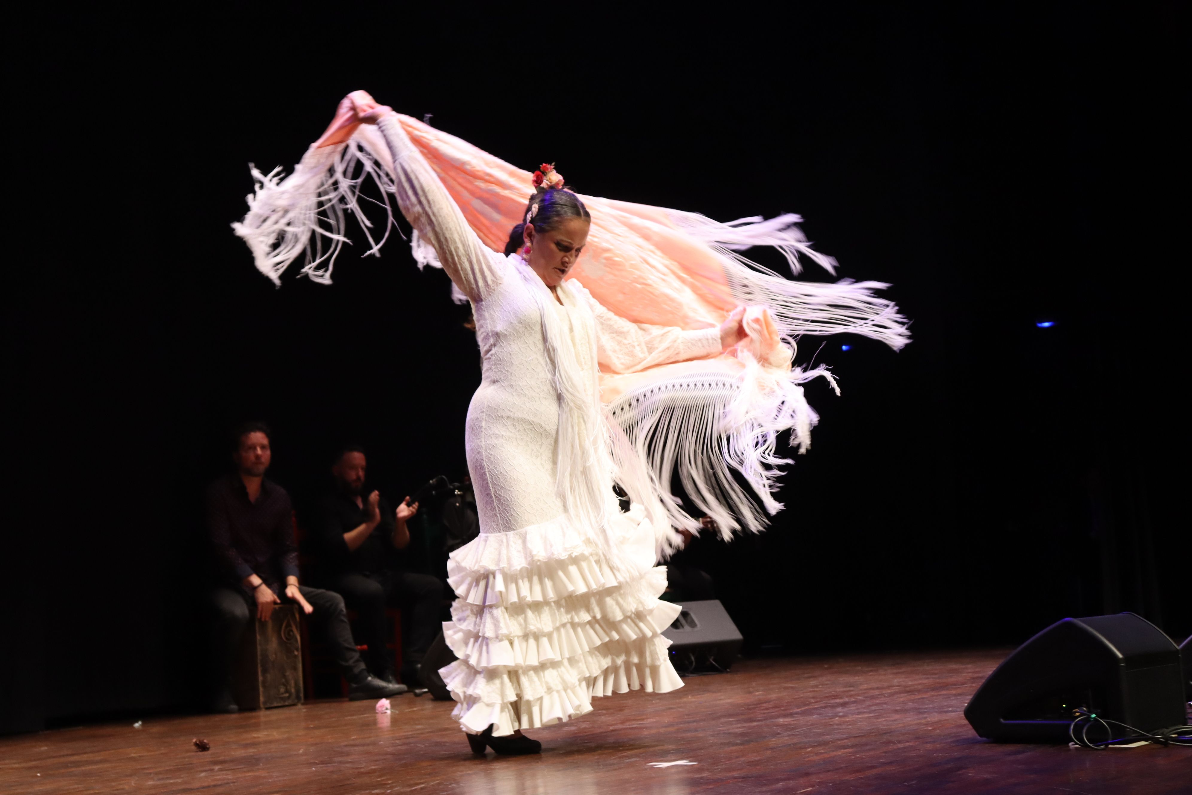 Festival flamenc "Roser de maig", XXXVIII Noche del cante Jondo. FOTO: Marc Mata