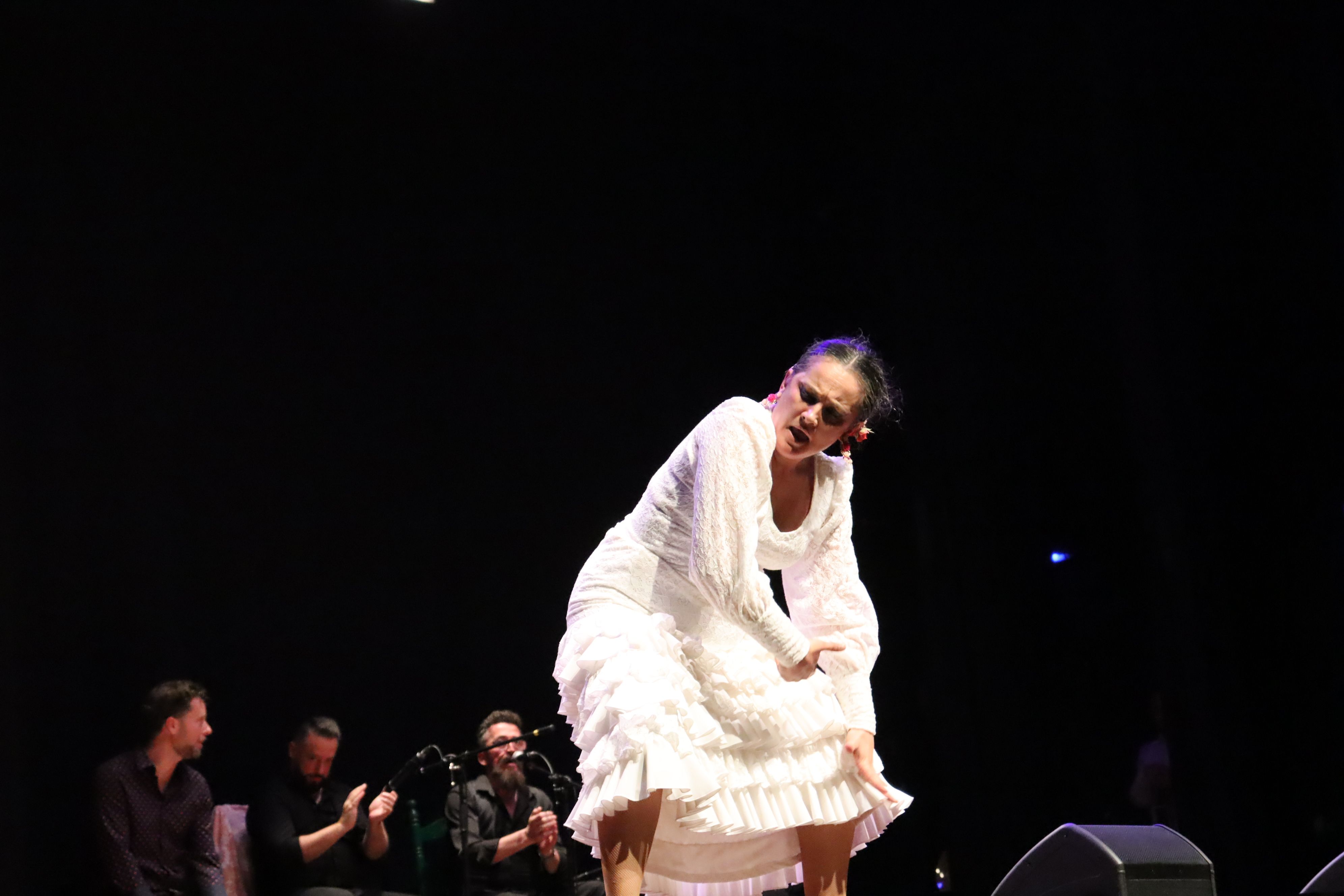Festival flamenc "Roser de maig", XXXVIII Noche del cante Jondo. FOTO: Marc Mata