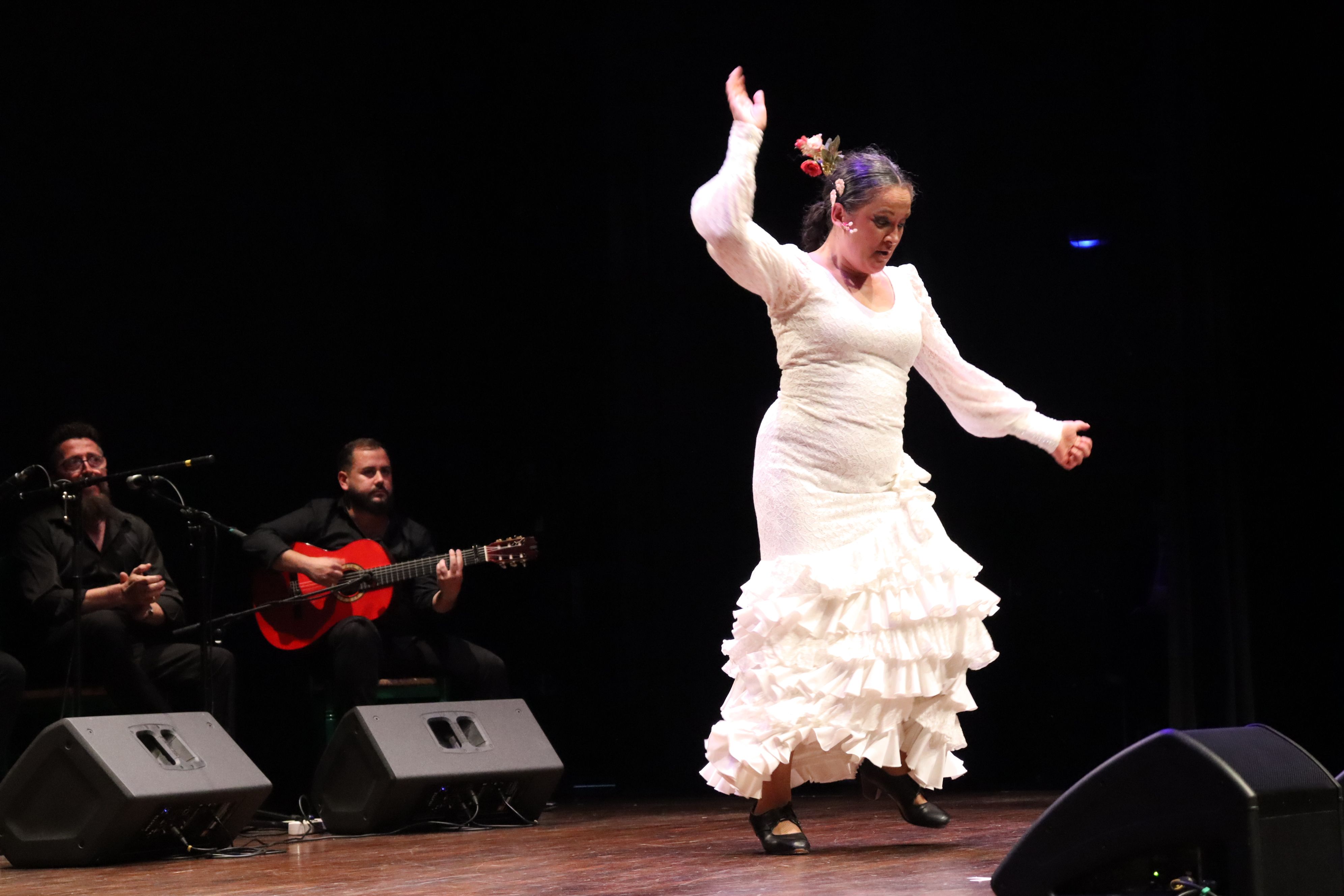 Festival flamenc "Roser de maig", XXXVIII Noche del cante Jondo. FOTO: Marc Mata
