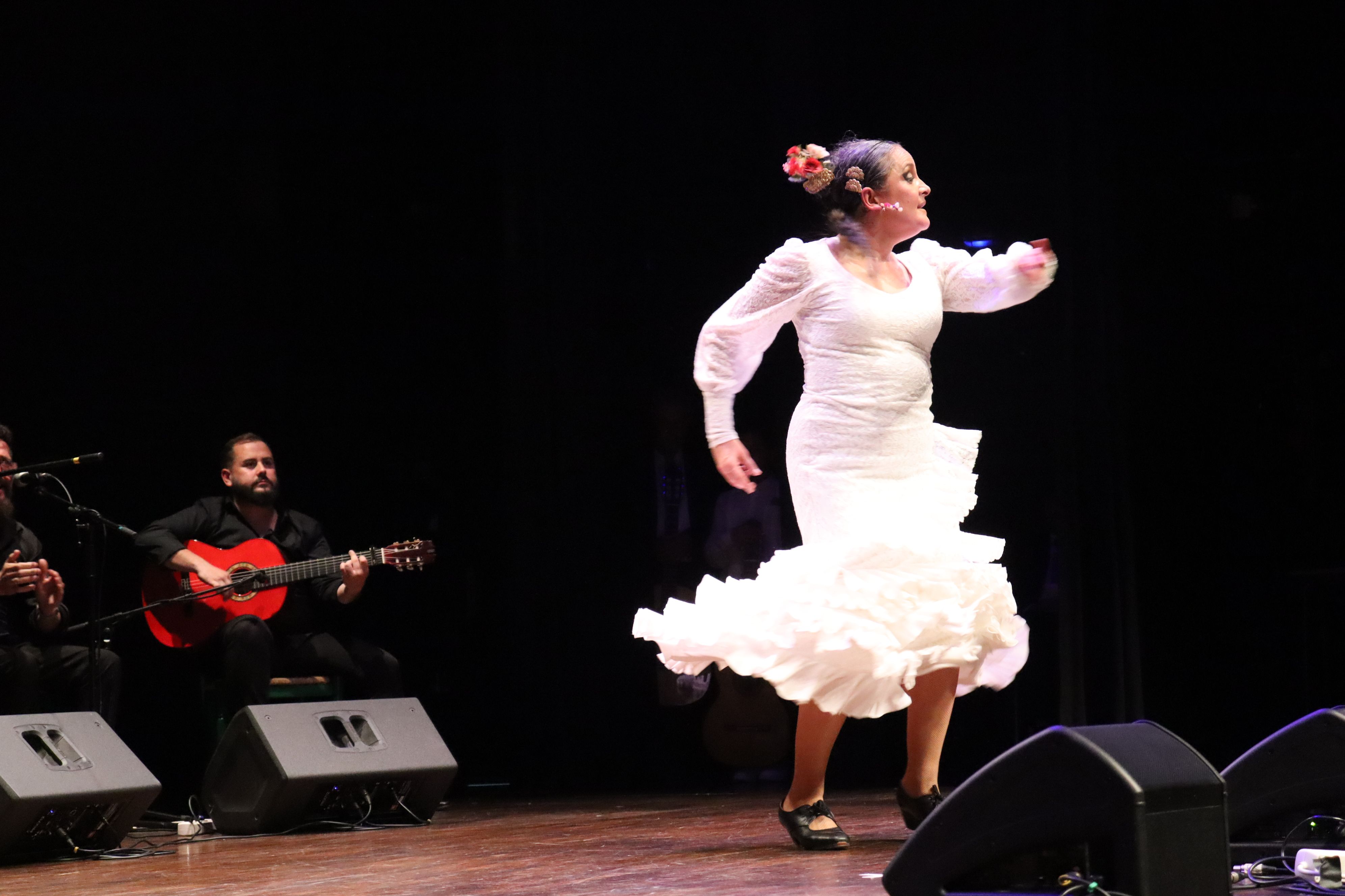 Festival flamenc "Roser de maig", XXXVIII Noche del cante Jondo. FOTO: Marc Mata