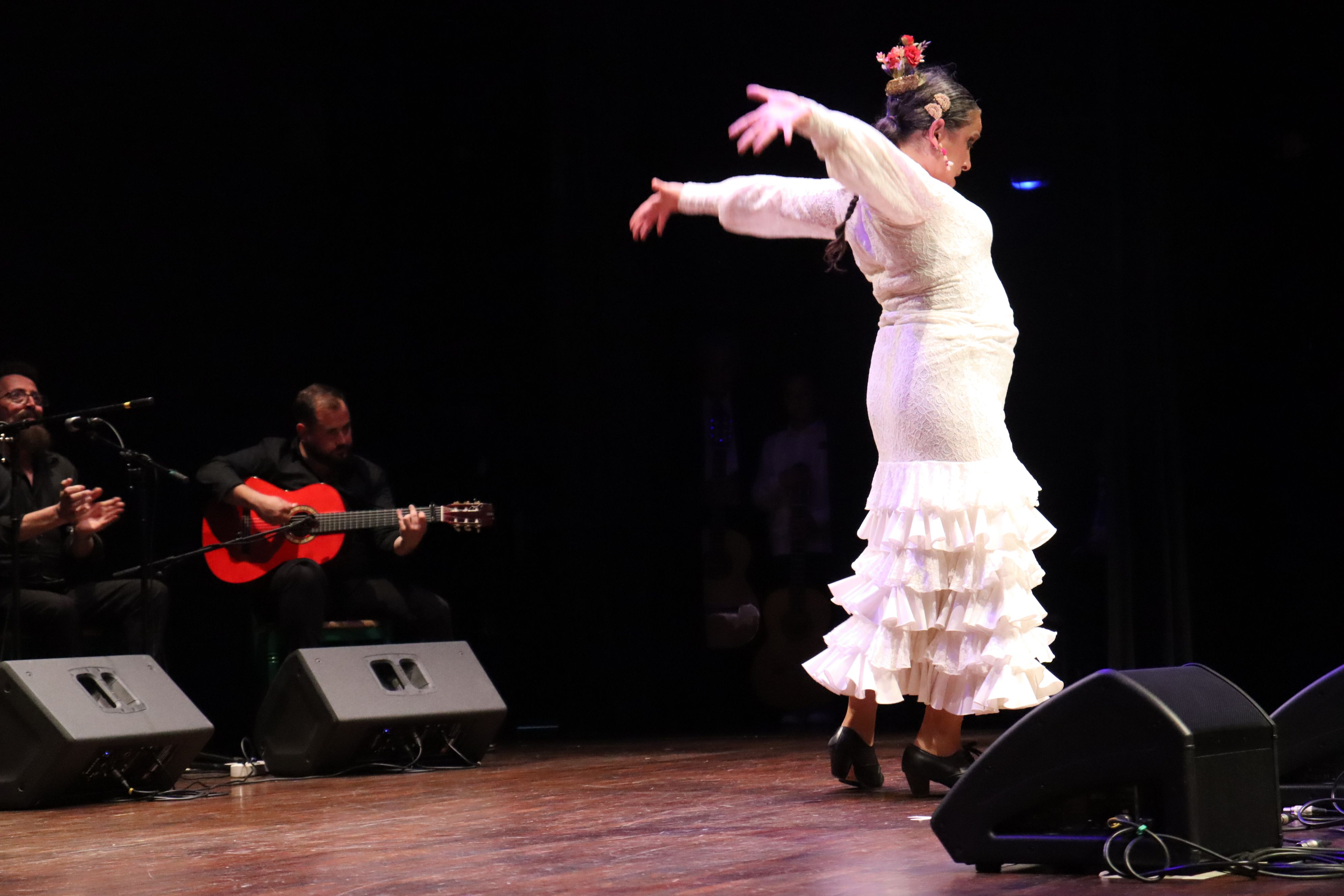 Festival flamenc "Roser de maig", XXXVIII Noche del cante Jondo. FOTO: Marc Mata