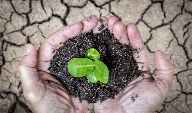 Planet Bionetch the earth plant grow. FOTO: Planet Bionetch Planet Bionetch the earth plant grow. FOTO: Planet Bionetch