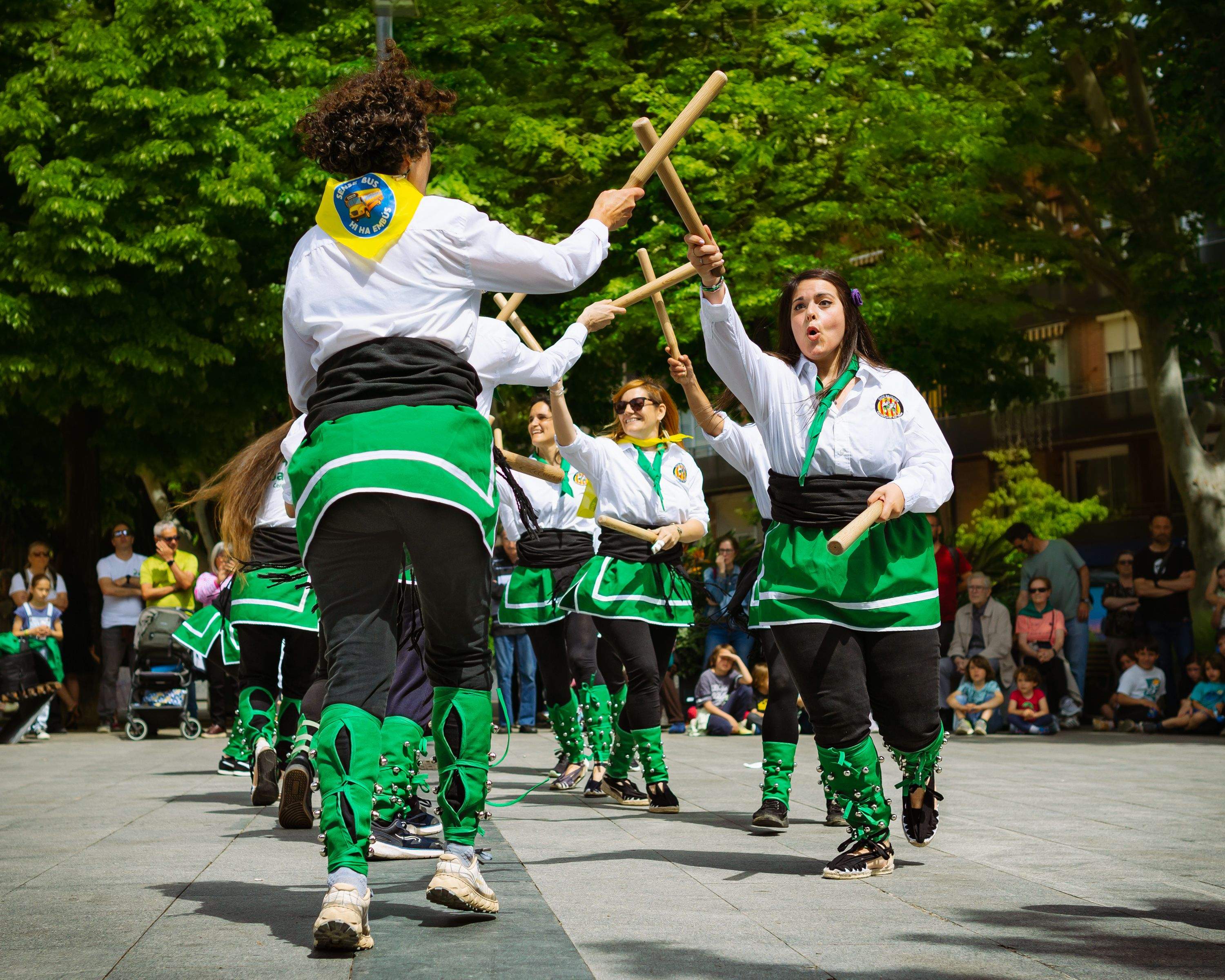 Primer premi concurs fotogràfic Roser de Maid de David Bascones