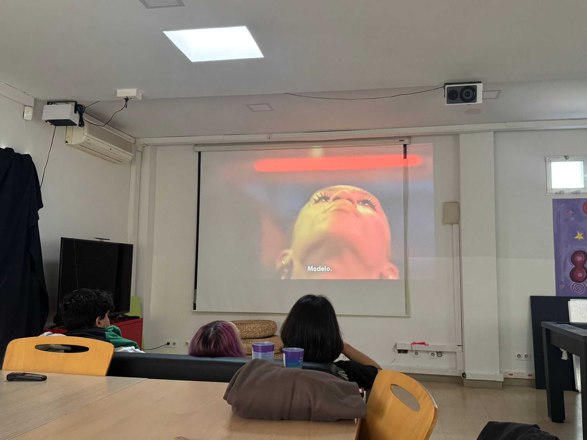 Projecció dins del cicle del Casal de Joves Converses LGTBI a través del cinema. FOTO: Paula Sama.