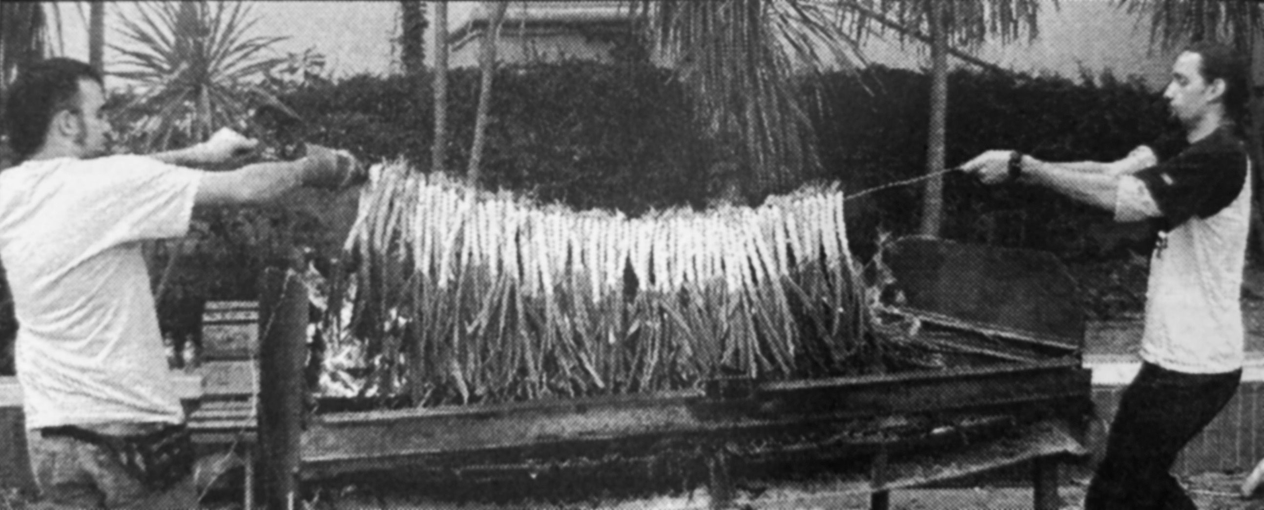 Les calçotades de La Verema i la Comissió de Festes Alternatives (2004) FOTO: Arxiu Cerdanyola al dia