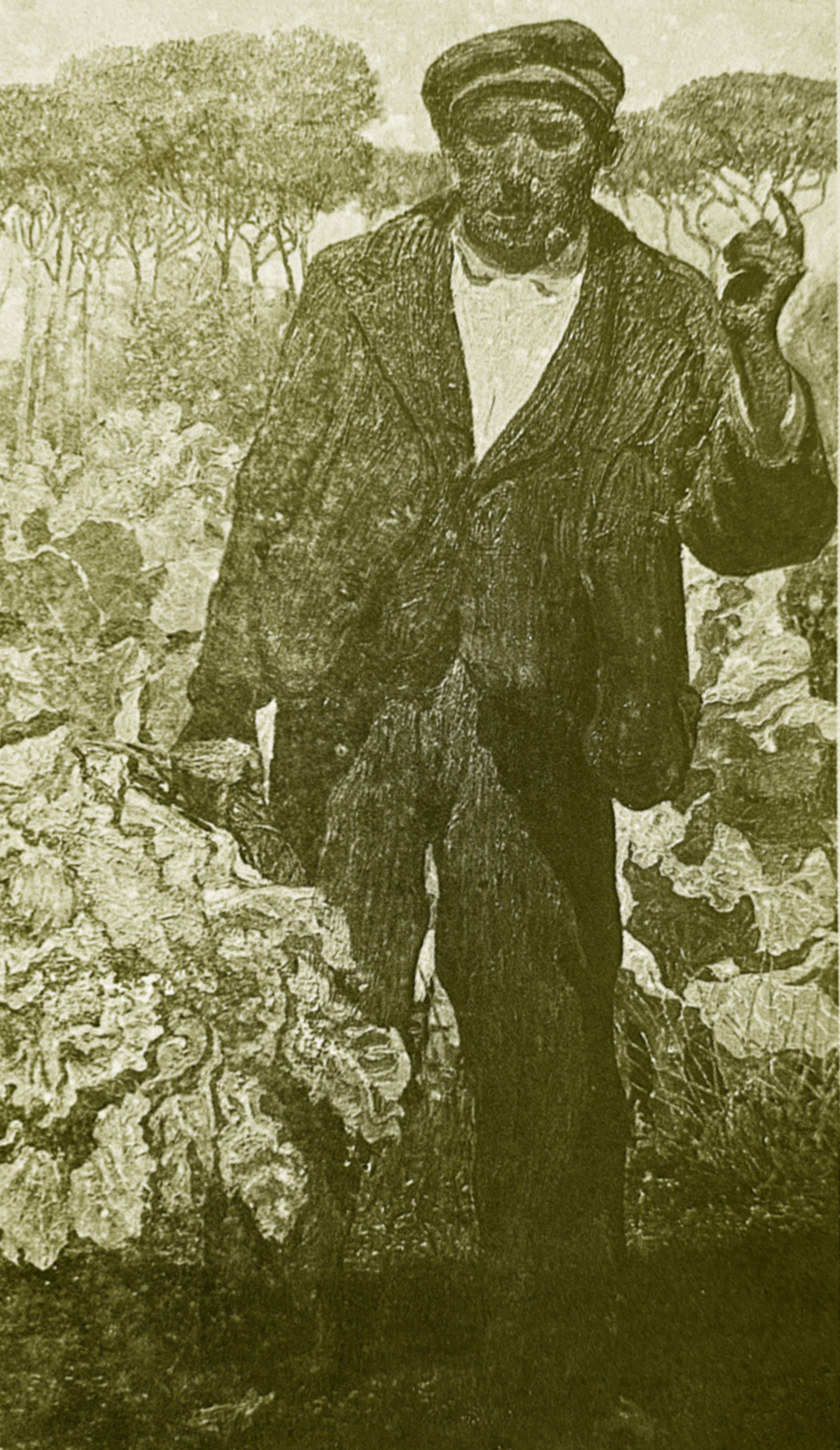 BoigCerdanyola DuotonoBLUR (1)