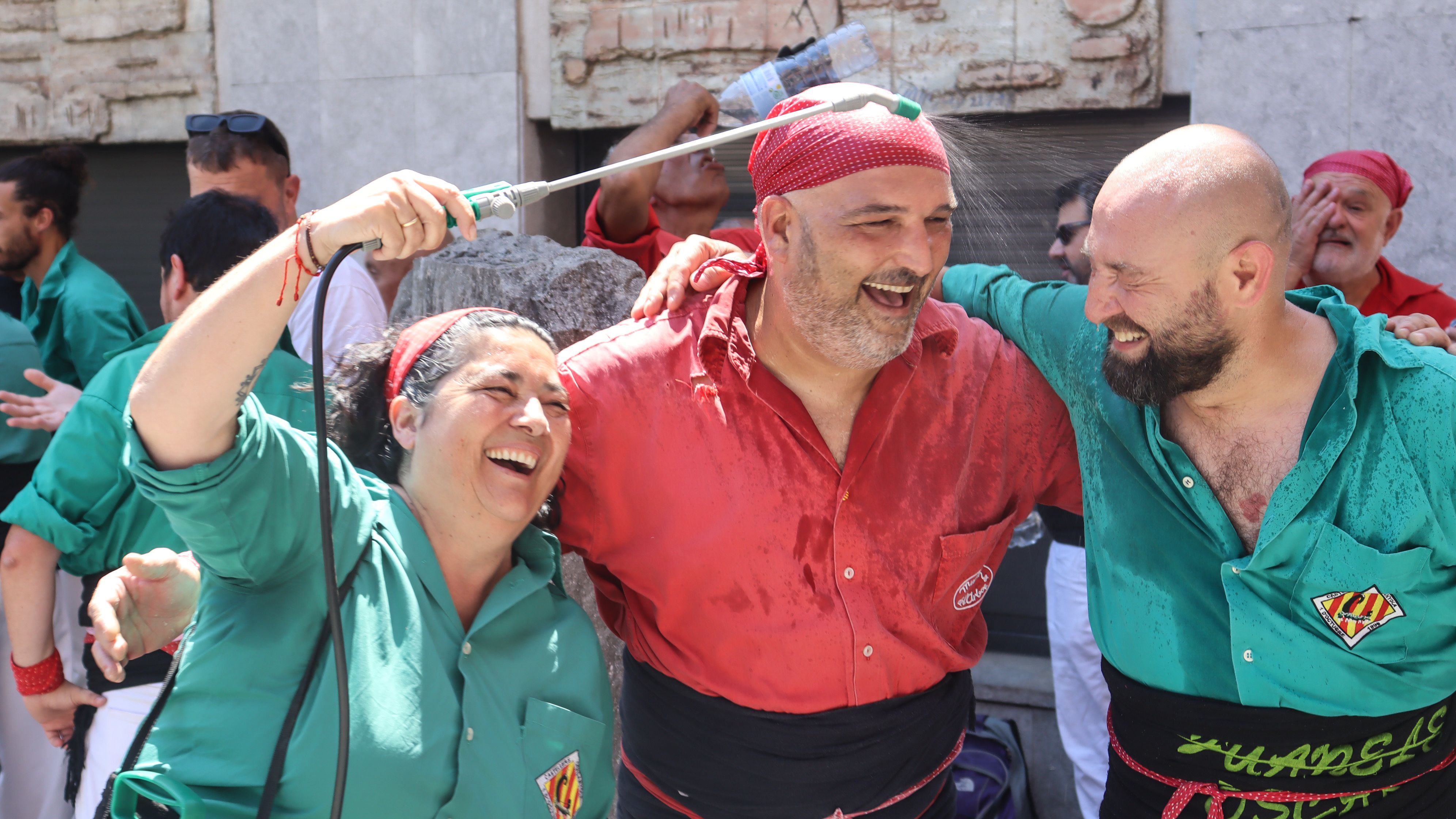 Remullant se davant l'onada de calor. FOTO Marc Mata. 