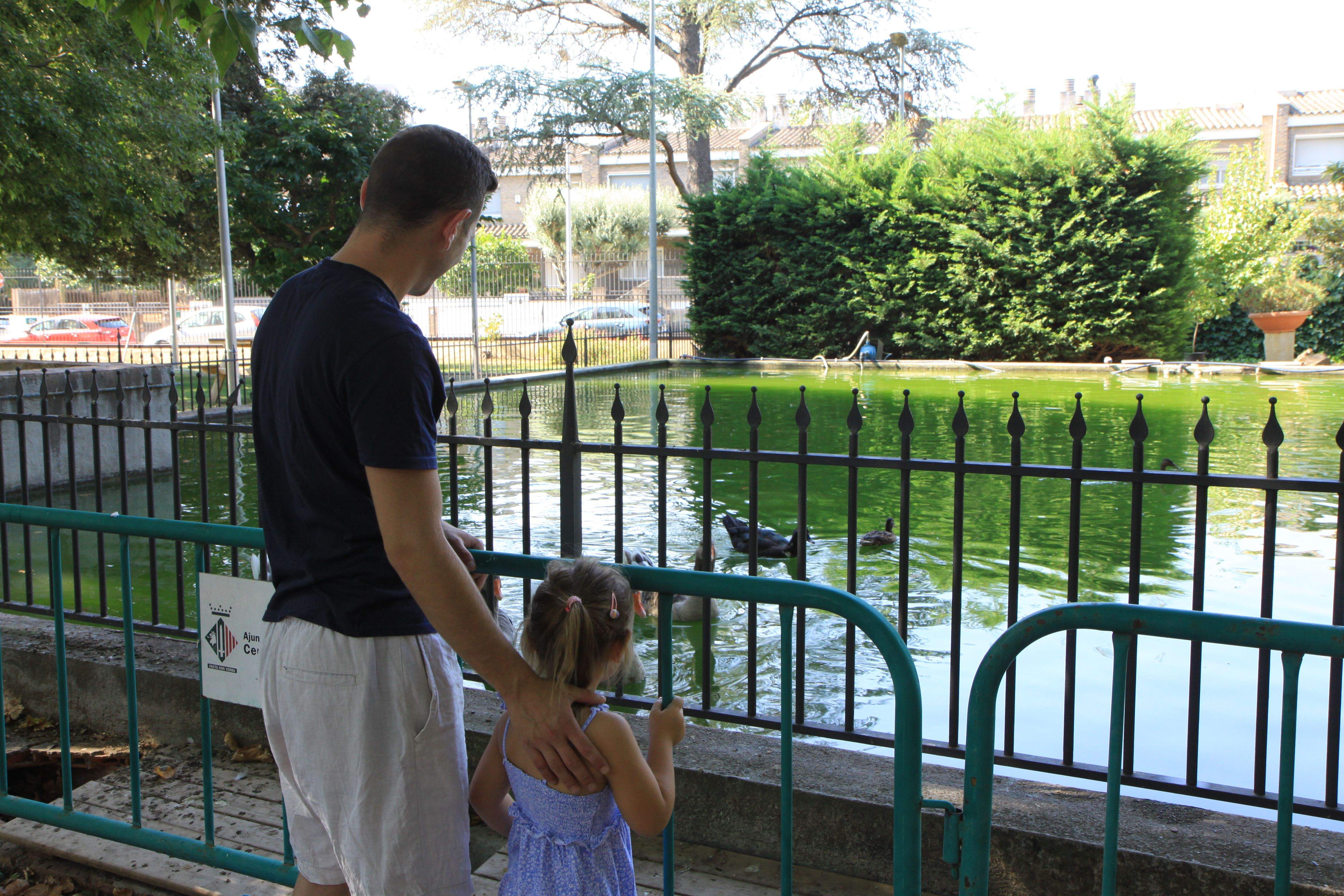 Als petits els hi encanta veure els ànecs. Foto: Laia Jubany