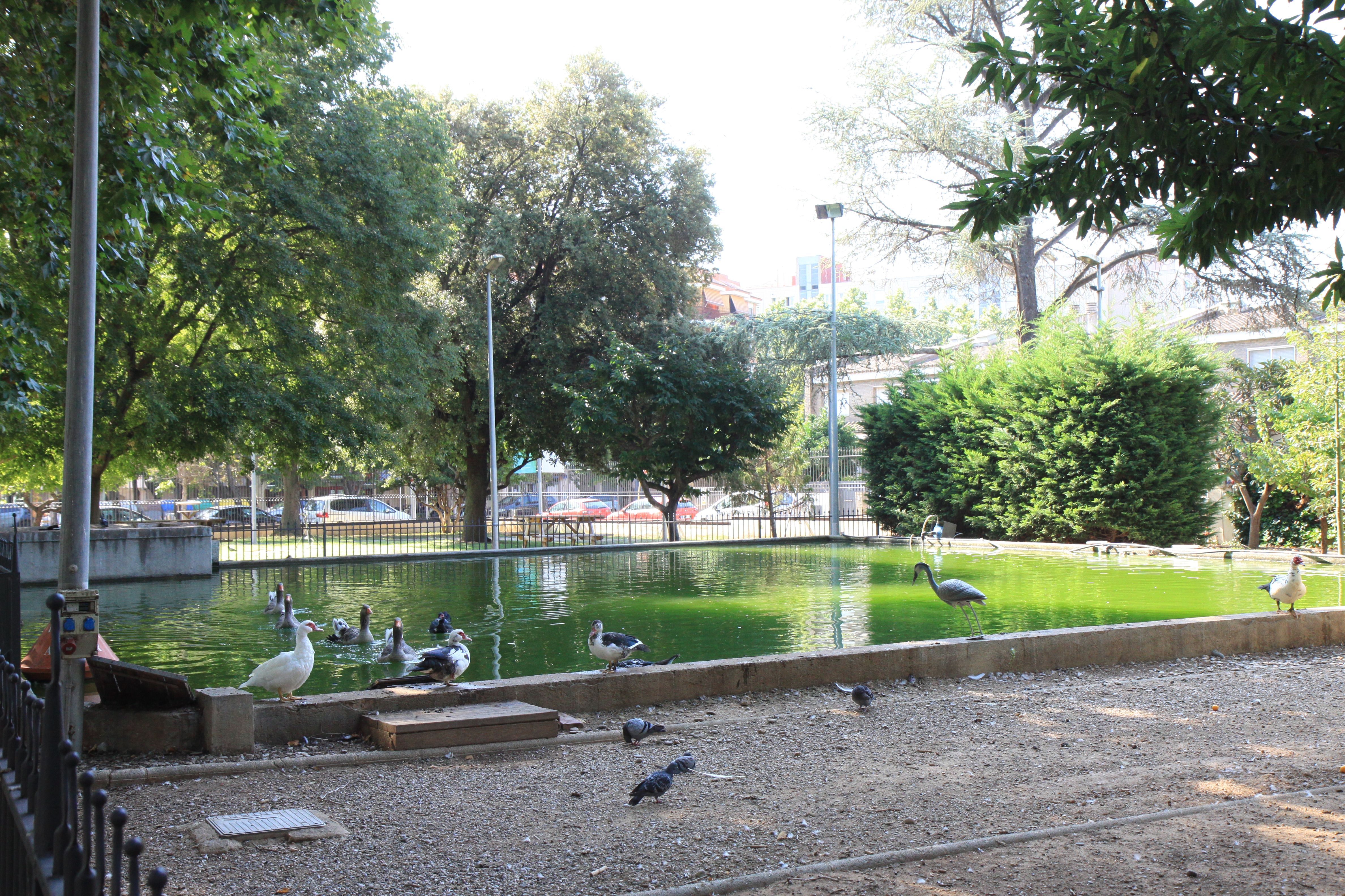 L'estany dels ànecs. Foto: Laia Jubany