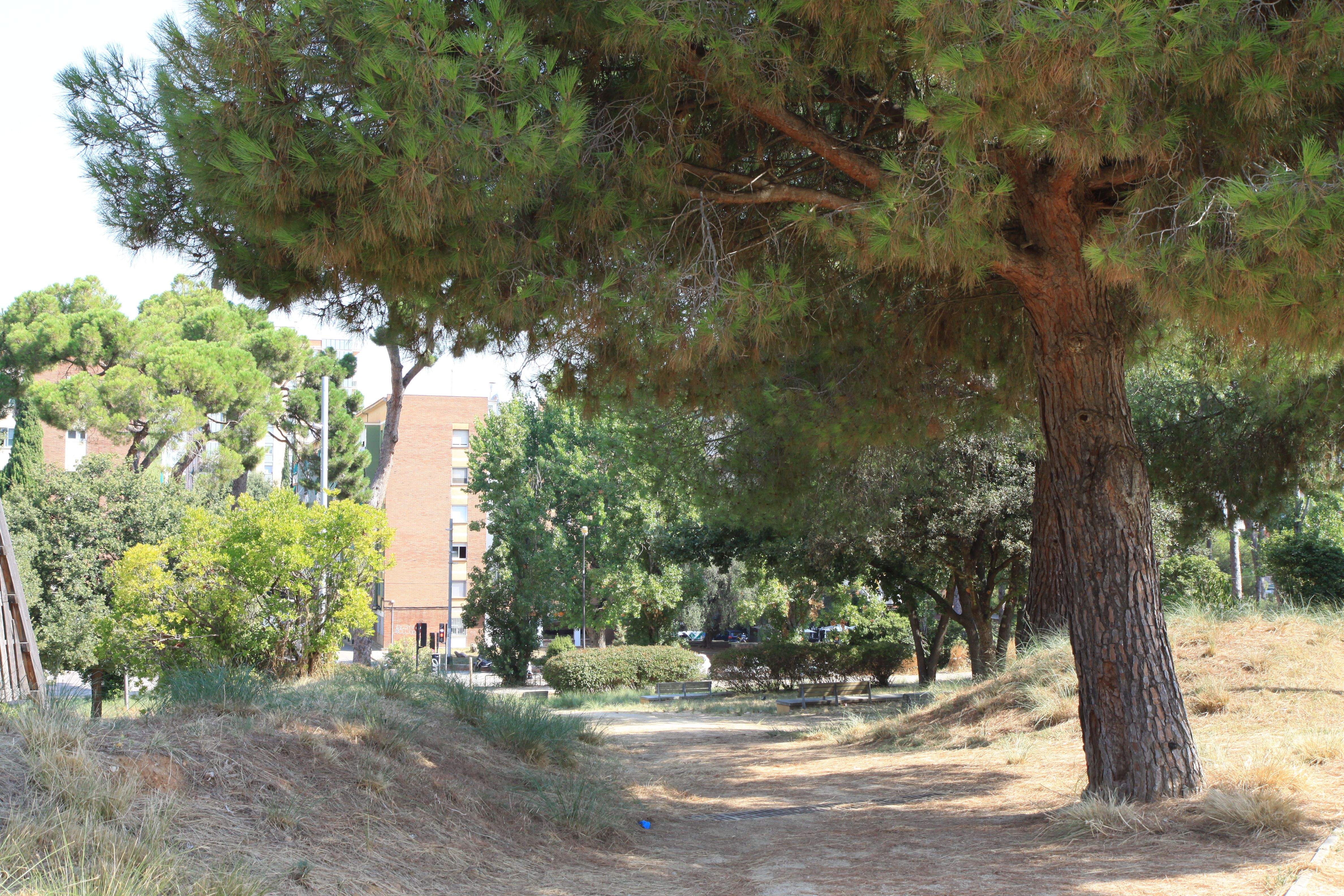 El Parc del Turonet és el més gran de Cerdanyola. Foto: Laia Jubany