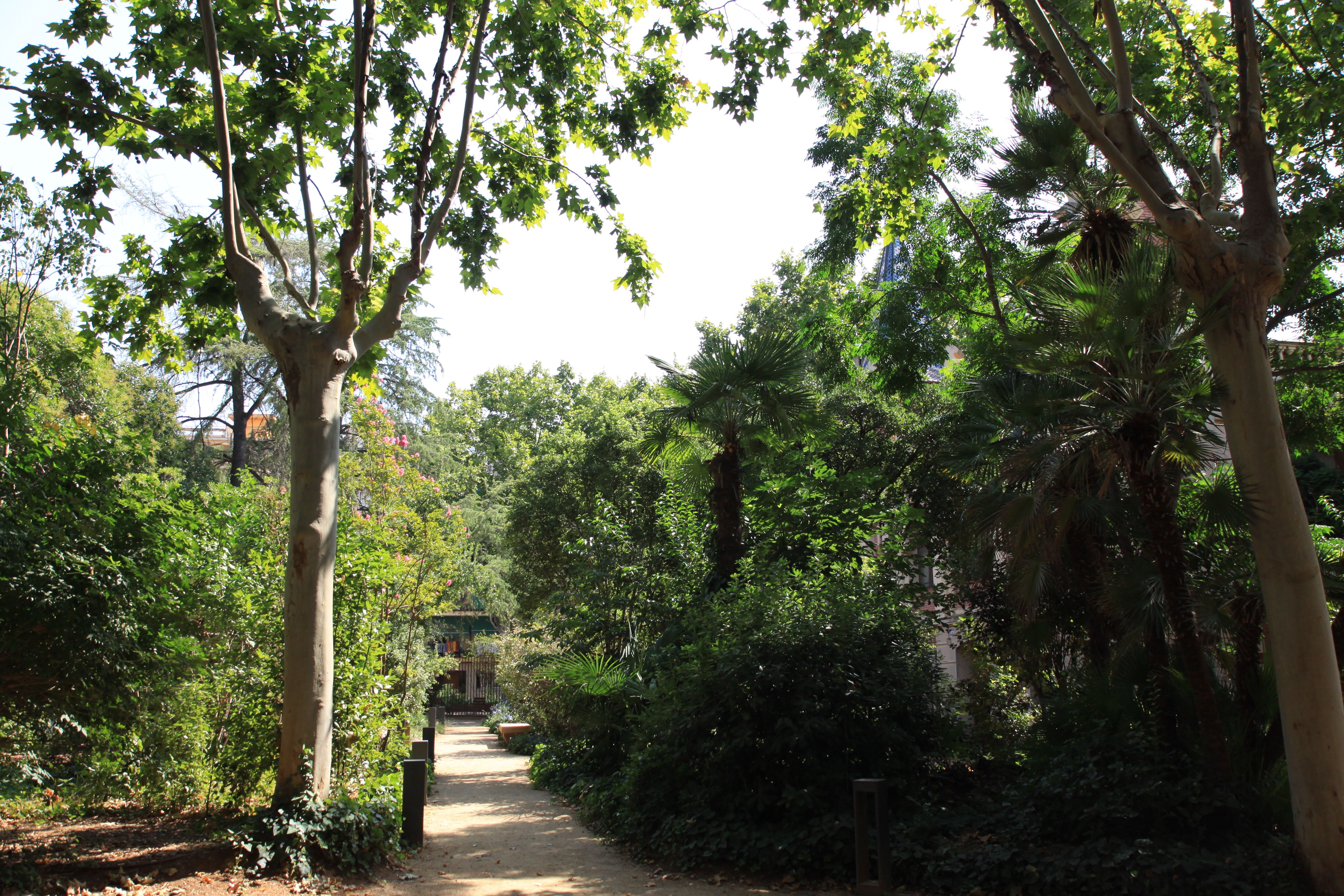 El jardí de la Torre Llopis. Foto: Laia Jubany