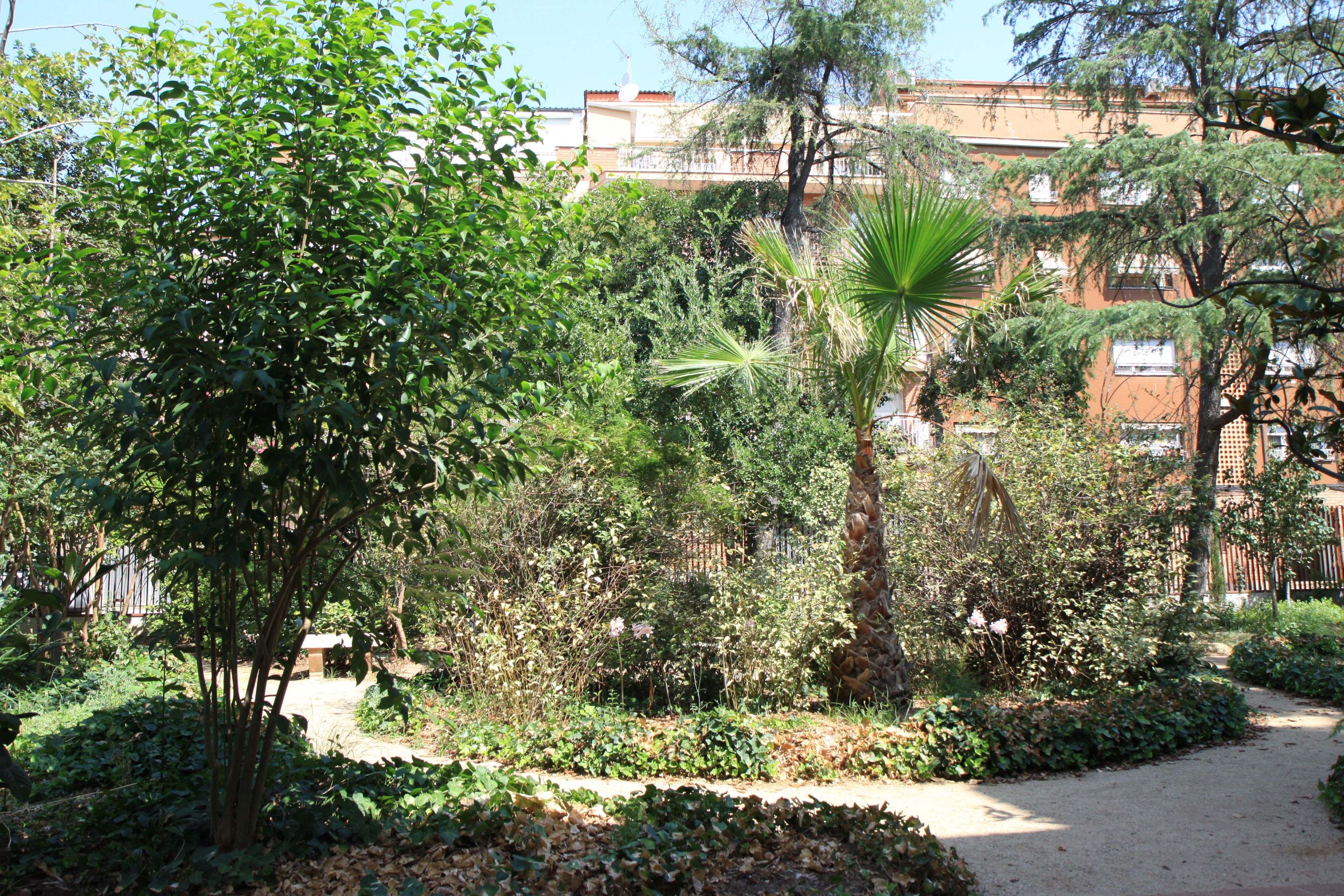 El jardí de la Torre Llopis. Foto: Laia Jubany
