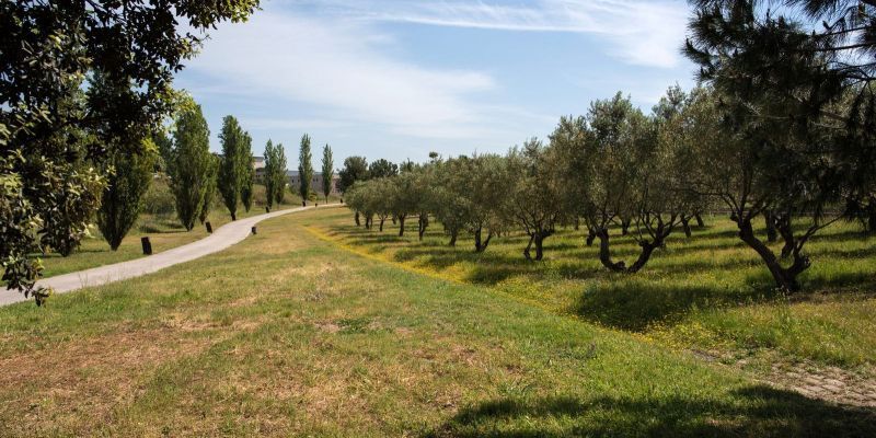 El Parc dels Pinetons a Ripollet. Foto Arxiu